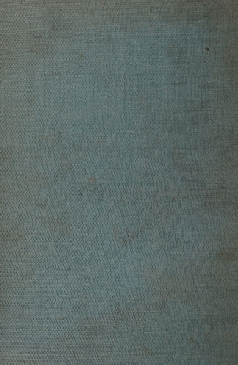 AR AUGE Nase s BON Ye ee ueger « eat E air Bere: Fruhs ei ET, re eh 2 ni f RS, ee a ET > er ER a - DEREN 2e (WR ur, i = % BIRR \ tel at Y 4 a ET ER BIEIEN 2 a derer RR ENHHMEN irLEN teten ze re a. SL METHICE vs 539, EEE Fe an x Katzest, Rıtgeiaigt st, EEESEFESRER LTE EREEN HRIHHR u NET Ser ete Mi 4 h 4 h Ki Ha