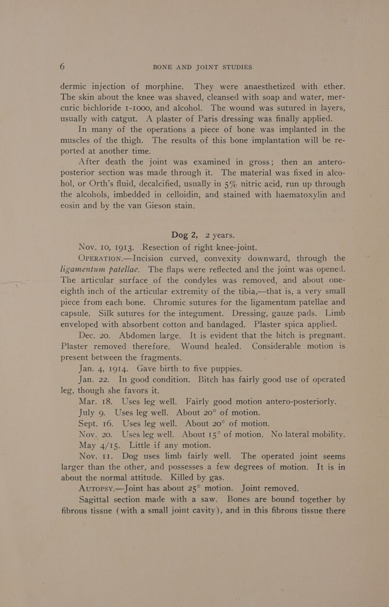 dermic injection of morphine. They were anaesthetized with ether. The skin about the knee was shaved, cleansed with soap and water, mer- curic bichloride 1-1000, and alcohol. The wound was sutured in layers, usually with catgut. A plaster of Paris dressing was finally applied. In many of the operations a piece of bone was implanted in the muscles of the thigh. The results of this bone implantation will be re- ported at another time. After death the joint was examined in gross; then an antero- posterior section was made through it. The material was fixed in alco- hol, or Orth’s fluid, decalcified, usually in 5% nitric acid, run up through the alcohols, imbedded in celloidin, and stained with haematoxylin and eosin and by the van Gieson stain. Dog 2, 2 yéars. Nov. 10, 1913. Resection of right knee-joint. OPERATION.—Incision curved, convexity downward, through the ligamentum patellae. The flaps were reflected and the joint was opened. The articular surface of the condyles was removed, and about one- eighth inch of the articular extremity of the tibia,—that is, a very small piece from each bone. Chromic sutures for the ligamentum patellae and capsule. Silk sutures for the integument. Dressing, gauze pads. Limb enveloped with absorbent cotton and bandaged. Plaster spica applied. Dec. 20. Abdomen large. It is evident that the bitch is pregnant. Plaster removed therefore. Wound healed. Considerable motion is present between the fragments. Jan. 4, 1914. Gave birth to five puppies. Jan. 22. In good condition. Bitch has fairly good use of operated leg, though she favors it. Mar. 18. Uses leg well. Fairly good motion antero-posteriorly. July 9. Uses leg well. About 20° of motion. Sept. 16. Uses leg well. About 20° of motion. Nov. 20. Uses leg well. About 15° of motion. No lateral mobility. May 4/15. Little if any motion. Nov. 11. Dog uses limb fairly well. The operated joint seems larger than the other, and possesses a few degrees of motion. It is in about the normal attitude. Killed by gas. Avutopsy.—Joint has about 25° motion. Joint removed. Sagittal section made with a saw. Bones are bound together by fibrous tissue (with a small joint cavity), and in this fibrous tissue there