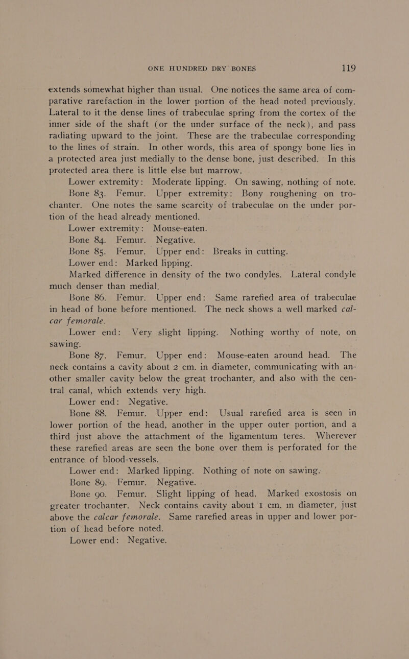 extends somewhat higher than usual. One notices. the same.area of com- parative rarefaction in the lower portion of the head noted previously. Lateral to it the dense lines of trabeculae spring from the cortex of the inner side of the shaft (or the under surface of the neck), and pass radiating upward to the joint. These are the trabeculae corresponding to the lines of strain. In other words, this area of spongy bone lies in a protected area just medially to the dense bone, just. described. In this protected area there is little else but marrow. Lower extremity: Moderate lipping. On ‘sawing, nothing of note. Bone 83. Femur. Upper extremity: Bony roughening on tro- chanter. One notes the same scarcity of trabeculae on the under por- tion of the head already mentioned. Lower extremity: Mouse-eaten. Bone 84. Femur. Negative. Bone 85. Femur. Upper end: Breaks in cutting. Lower end: Marked lipping. Marked difference in density of the two condyles. Lateral condyle much denser than medial. Bone 86. Femur. Upper end: Same rarefied area of trabeculae in head of bone before mentioned. The neck shows a well marked cal- car femorale. Lower end: Very slight lipping. Nothing worthy of note, on sawing. Bone 87. Femur. Upper end: Mouse-eaten around head. The neck contains a cavity about 2 cm. in diameter, communicating with an- other smaller cavity below the great trochanter, and also with the cen- tral canal, which extends very high. Lower end: Negative. Bone 88. Femur. Upper end: Usual rarefied area is seen in lower portion of the head, another in the upper outer portion, and a third just above the attachment of the ligamentum teres. Wherever these rarefied areas are seen the bone over them is perforated for the entrance of blood-vessels. Lower end: Marked lipping. Nothing of note on sawing. Bone 89.. Femur. Negative. Bone 90. Femur. Slight lipping of head. Marked exostosis on greater trochanter. Neck contains cavity about 1 cm. in diameter, just above the calcar femorale. Same rarefied areas in upper and lower por- tion of head before noted. Lower end: Negative.