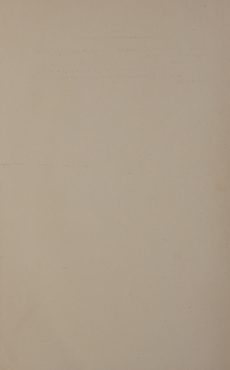 = - _ ae) - a 4 a - rr re 7 _ (2 Oe i* : y 4 le _ < , _ ’ 7 My if we Pe , “ae egre bs if , af : aes 7 1 7 = e. b ae = ee nS) Aah Ss Oe ere a TE Cee - ® i ; : ‘ = = . eV aute Epes CG Se i Caren *) =*) hal * ; a ; « ’ } s ' a i ’ _ ) = i Pe us rc a : i ‘at ’ 20h 2 is q - é 4a ae é ‘ i : ey, re : bain hae a s ) = - ve . a * ? ia a x Bey Get a Y ¢ ? eg ‘ ale = ' i lar its ‘bee cerned ‘ge atNe yee eee at aera ‘ why * ‘ : Se : F , 2, oe oa : 3 ‘ { i 4 . ry ‘i \ ¥ i ‘ ) : os ay . 2 ; ie } e oes ‘ : ape Yet ‘en “ # r . vio § i ur 7 Wes Sy Noo u oN Pae _ eit - : ; j