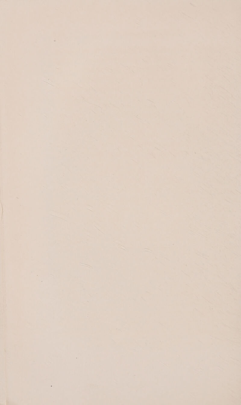 ie —_—— 7 is “wre Or ae * ' au ae YC BE . io Tone 5 — Cy re 2 oan a f) = @ 4 ‘ae = Pe. i 7 $e é => ¢ s = - 4 > : a Pe = sa oo = a : i ' a . a? A % i) _ : ~ ? 7 s! - * a 7 oe , : : <a i As ede toe ; . ~ ae * a > 5 ee Pe eer j i >. ‘ , J = * ‘yg o 4 Bin. 4 > : a & - v1! hse y i ; sty? i Ns rs - ~ 4 he } Ny Ae =: CG he? : ; See) ae D - + ‘ a lan 7 i ed