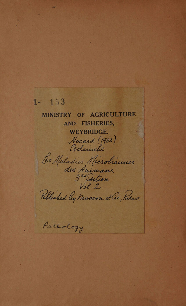 digitised image 2