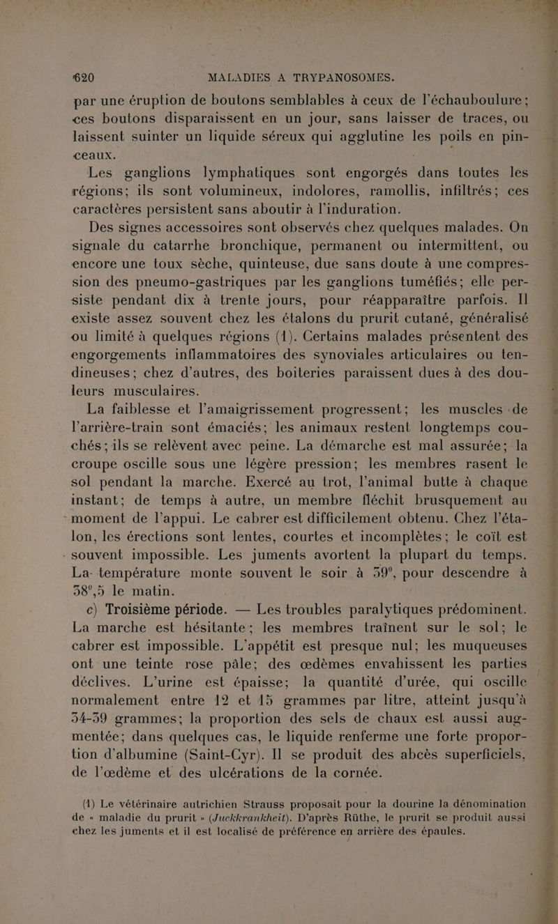 par une éruption de boutons semblables à ceux de l'échauboulure ; ces boutons disparaissent en un jour, sans laisser de traces, ou laissent suinter un liquide séreux qui agglutine les poils en pin- CEaUX. | Les ganglions lymphatiques sont engorgés dans toutes les régions; 1ls sont volumineux, indolores, ramollis, infiltrés; ces caractères persistent sans aboutir à l’induration. Des signes accessoires sont observés chez quelques malades. On signale du catarrhe bronchique, permanent ou intermittent, ou encore une toux sèche, quinteuse, due sans doute à une compres- sion des pneumo-gastriques par les ganglions tuméfiés; elle per- siste pendant dix à trente jours, pour réapparaître parfois. Il existe assez souvent chez les étalons du prurit cutané, généralisé ou limité à quelques régions (1). Certains malades présentent des engorgements inflammatoires des synoviales articulaires ou ten- dineuses ; chez d’autres, des boiteries paraissent dues à des dou- leurs musculaires. La faiblesse et l’amaigrissement progressent; les muscles de l’arrière-train sont émaciés; les animaux restent longtemps cou- chés ; ils se relèvent avec peine. La démarche est mal assurée; la croupe oscille sous une légère pression; les membres rasent le sol pendant la marche. Exercé au trot, l’animal butte à chaque instant; de temps à autre, un membre fléchit brusquement au -moment de l'appui. Le cabrer est difficilement obtenu. Chez l’éta- lon, les érections sont lentes, courtes et incomplètes ; le coït est souvent impossible. Les juments avortent la plupart du temps. La- température monte souvent le soir à 59°, pour descendre à 58°,5 le matin. c) Troisième période. — Les troubles paralytiques prédominent. La marche est hésitante; les membres traînent sur le sol; le cabrer est impossible. L'appétit est presque nul; les muqueuses ont une teinte rose pâle; des œdèmes envahissent les parties déclives. L’urine est épaisse; la quantité d’urée, qui oscille normalement entre 12 et 15 grammes par litre, atteint jusqu à 94-59 grammes; la proportion des sels de chaux est aussi aug- mentée; dans quelques cas, le liquide renferme une forte propor- üon d'albumine (Saint-Cyr). Il se produit des abcès superficiels, de l’œdème et des ulcérations de la cornée. (1) Le vétérinaire autrichien Strauss proposait pour la dourine la dénomination de « maladie du prurit » (Juckkrankheit). D’après Rüthe, le prurit se produit aussi chez les juments et il est localisé de préférence en arrière des épaules.