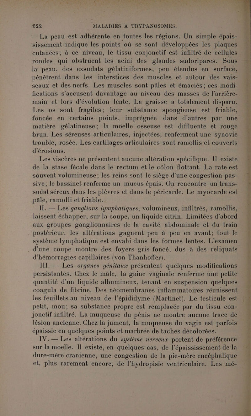 La peau est adhérente en toutes les régions. Un simple épais- sissement indique les points où se sont développées les plaques cutanées; à ce niveau, le tissu conjonctif est infiltré de cellules rondes qui obstruent les acini des glandes sudoripares. Sous la peau, des exsudats gélatiniformes, peu étendus en surface, pénètrent dans les interstices des muscles et autour des vais- seaux et des nerfs. Les muscles sont pâles et émaciés; ces modi- fications s'accusent davantage au niveau des masses de l’arrière- main et lors d'évolution lente. La graisse a totalement disparu. Les os sont fragiles; leur substance spongieuse est friable, foncée en certains points, imprégnée dans d’autres par une matière gélatineuse: la moelle osseuse est diffluente et rouge brun. Les séreuses articulaires, injectées, renferment une synovie trouble, rosée. Les cartilages articulaires sont ramollis et couverts d’érosions. Les viscères ne présentent aucune altération spécifique. Il existe de la stase fécale dans le rectum et le côlon flottant. La rate est souvent volumineuse; les reins sont le siège d'une congestion pas- sive; le bassinet renferme un mucus épais. On rencontre un trans- sudat séreux dans les plèvres et dans le péricarde. Le myocarde est pâle, ramolli et friable. IT. — Les ganglions lymphatiques, volumineux, infiltrés, ramollis, laissent échapper, sur la coupe, un liquide citrin. Limitées d’abord aux groupes ganglionnaires de la cavité abdominale et du train postérieur, les altérations gagnent peu à peu en avant; tout le système lymphatique est envahi dans les formes lentes. L'examen d’une coupe montre des foyers gris foncé, dus à des reliquats d'hémorragies capillaires (von Thanhoffer). III. — Les organes génitaux présentent quelques modifications persistantes. Chez le mâle, la gaine vaginale renferme une petite quantité d’un liquide albumineux, tenant en suspension quelques coagula de fibrine. Des néomembranes inflammatoires réunissent les feuillets au niveau de l’épididyme (Martinet). Le testicule est petit, mou; sa substance propre est remplacée par du tissu con- jonctif infiltré. La muqueuse du pénis ne montre aucune trace de lésion ancienne. Chez la jument, la muqueuse du vagin est parfois épaissie en quelques points et marbrée de taches décolorées. IV. — Les altérations du système nerveux portent de préférence sur la moelle. Il existe, en quelques cas, de l’épaississement de la dure-mère cranienne, une congestion de la pie-mère encéphalique et, plus rarement encore, de l’hydropisie ventriculaire. Les mé-