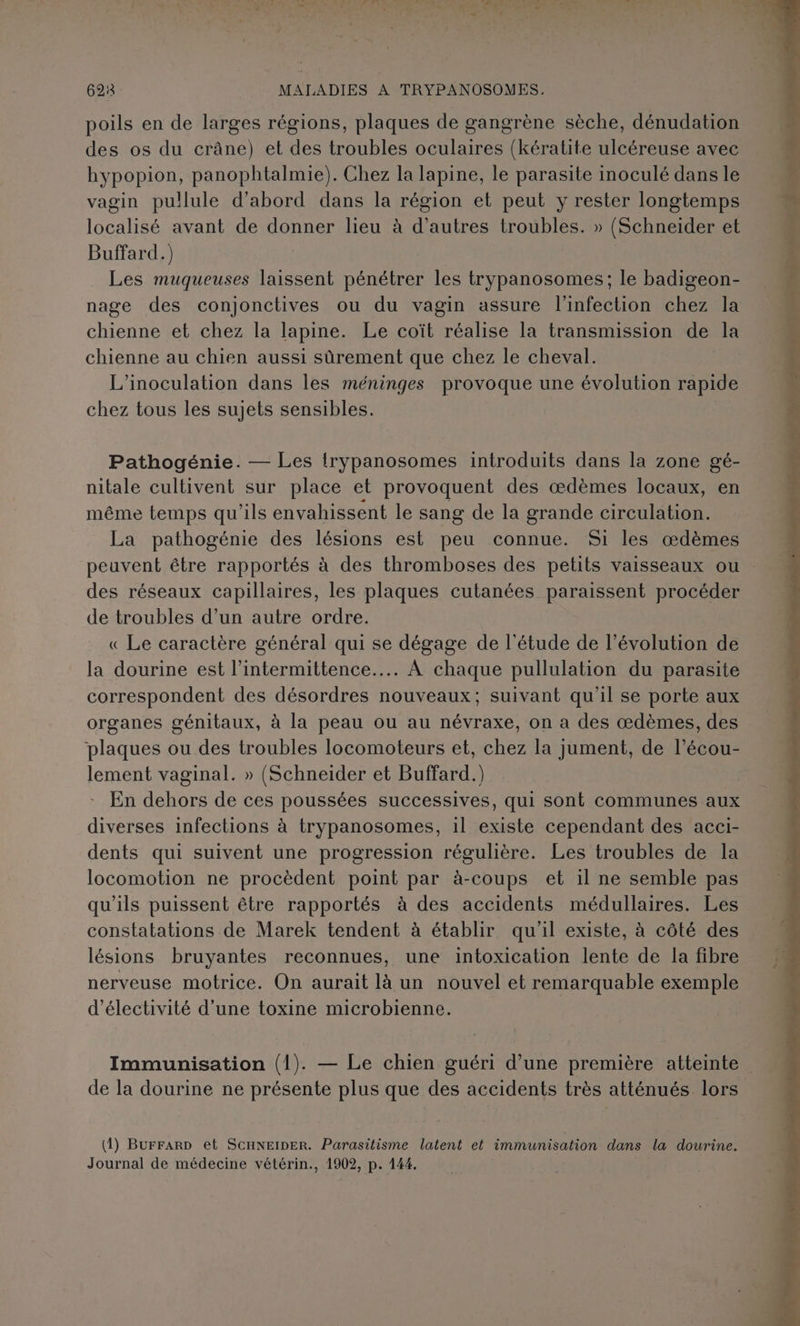 poils en de larges régions, plaques de gangrène sèche, dénudation des os du crâne) et des troubles oculaires (kératite ulcéreuse avec hypopion, panophtalmie). Chez la lapine, le parasite inoculé dans le vagin pullule d'abord dans la région et peut y rester longtemps localisé avant de donner lieu à d’autres troubles. » (Schneider et Buffard.) Les muqueuses laissent pénétrer les trypanosomes; le badigeon- nage des conjonctives ou du vagin assure l'infection chez la chienne et chez la lapine. Le coït réalise la transmission de la chienne au chien aussi sûrement que chez le cheval. L'inoculation dans les méninges provoque une évolution rapide chez tous les sujets sensibles. Pathogénie. — Les irypanosomes introduits dans la zone gé- nitale cultivent sur place et provoquent des œdèmes locaux, en même temps qu’ils envahissent le sang de la grande circulation. La pathogénie des lésions est peu connue. Si les œdèmes peuvent être rapportés à des thromboses des petits vaisseaux ou des réseaux capillaires, les plaques cutanées paraissent procéder de troubles d’un autre ordre. « Le caractère général qui se dégage de l'étude de l’évolution de la dourine est l’intermittence.... À chaque pullulation du parasite correspondent des désordres nouveaux; suivant qu'il se porte aux organes génitaux, à la peau ou au névraxe, on a des œdèmes, des plaques ou des troubles locomoteurs et, chez la jument, de l’écou- lement vaginal. » (Schneider et Buffard.) En dehors de ces poussées successives, qui sont communes aux diverses infections à trypanosomes, il existe cependant des acci- dents qui suivent une progression régulière. Les troubles de la locomotion ne procèdent point par à-coups et il ne semble pas qu’ils puissent être rapportés à des accidents médullaires. Les constatations de Marek tendent à établir qu'il existe, à côté des lésions bruyantes reconnues, une intoxication lente de la fibre nerveuse motrice. On aurait là un nouvel et remarquable exemple ’électivité d’une toxine microbienne. Immunisation (1). — Le chien guéri d’une première atteinte de la dourine ne présente plus que des accidents très atténués lors (1) BuFFARD et SCHNEIDER. Parasitisme latent et immunisation dans la dourine. Journal de médecine vétérin., 1902, p. 144.