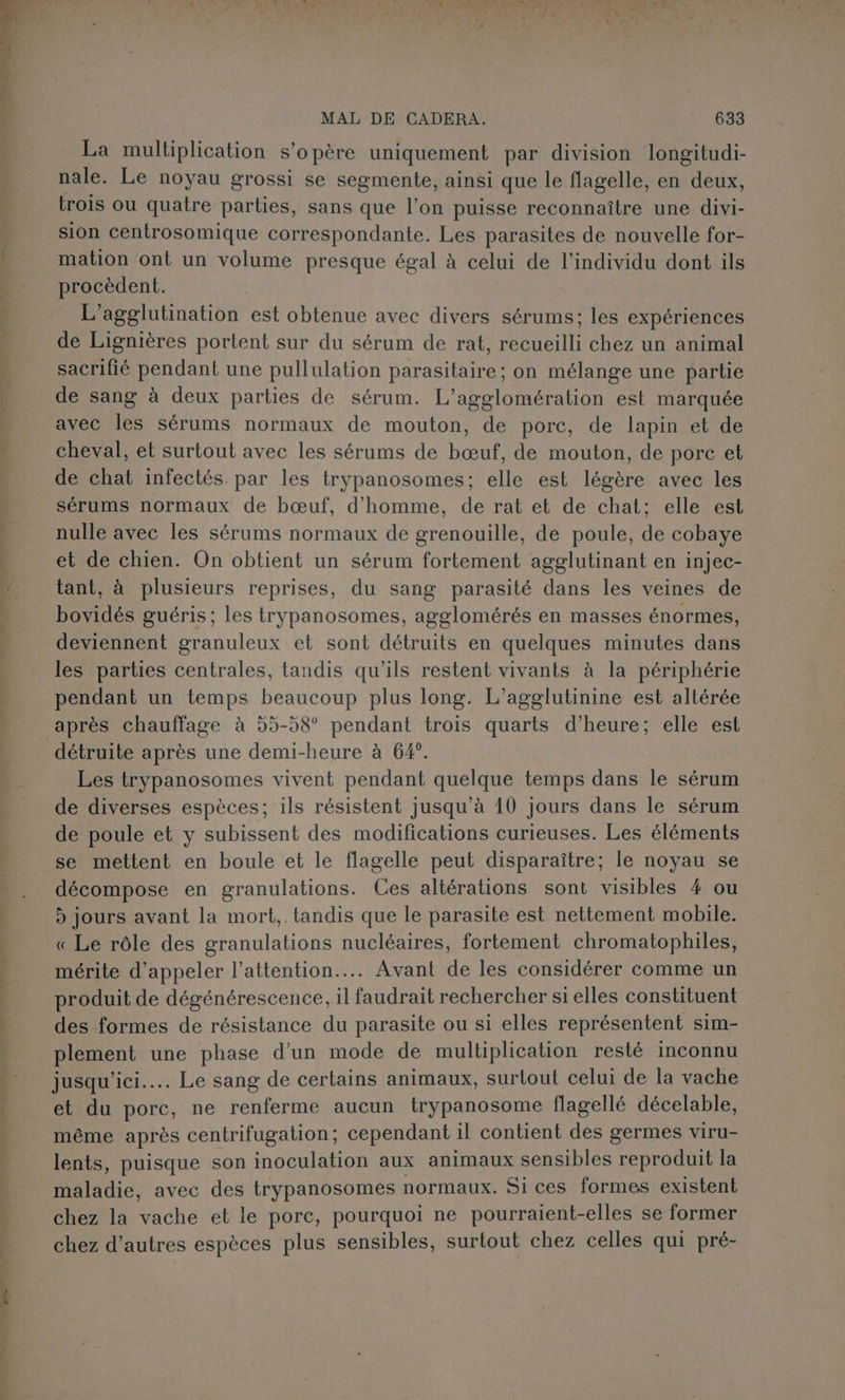 La multiplication s'opère uniquement par division longitudi- nale. Le noyau grossi se segmente, ainsi que le flagelle, en deux, trois ou quatre parties, sans que l’on puisse reconnaître une divi- sion centrosomique correspondante. Les parasites de nouvelle for- mation ont un volume presque égal à celui de l'individu dont ils procèdent. L'agglutination est obtenue avec divers sérums; les expériences de Lignières portent sur du sérum de rat, recueilli chez un animal sacrifié pendant une pullulation parasitaire ; on mélange une partie de sang à deux parties de sérum. L’agglomération est marquée avec les sérums normaux de mouton, de porc, de lapin et de cheval, et surtout avec les sérums de bœuf, de mouton, de porc et de chat infectés. par les trypanosomes; elle est légère avec les sérums normaux de bœuf, d'homme, de rat et de chat; elle est nulle avec les sérums normaux de grenouille, de poule, de cobaye et de chien. On obtient un sérum fortement agglutinant en injec- tant, à plusieurs reprises, du sang parasité dans les veines de bovidés guéris; les trypanosomes, agglomérés en masses énormes, deviennent granuleux et sont détruits en quelques minutes dans les parties centrales, tandis qu’ils restent vivants à la périphérie pendant un temps beaucoup plus long. L’agglutinine est altérée après chauffage à 55-58° pendant trois quarts d’heure; elle est détruite après une demi-heure à 64°. Les trypanosomes vivent pendant quelque temps dans le sérum de diverses espèces; ils résistent jusqu’à 10 jours dans le sérum de poule et y subissent des modifications curieuses. Les éléments se mettent en boule et le flagelle peut disparaître; le noyau se décompose en granulations. Ces altérations sont visibles 4 ou 5 jours avant la mort, . tandis que le parasite est nettement mobile. « Le rôle des granulations nucléaires, fortement chromatophiles, mérite d'appeler l’attention.... Avant de les considérer comme un produit de dégénérescence, il faudrait rechercher si elles constituent des formes de résistance du parasite ou si elles représentent sim- plement une phase d'un mode de multiplication resté inconnu jusqu'ici... Le sang de certains animaux, surtout celui de la vache et du porc, ne renferme aucun trypanosome flagellé décelable, même après centrifugation; cependant il contient des germes viru- lents, puisque son inoculation aux animaux sensibles reproduit la maladie, avec des trypanosomes normaux. Si ces formes existent chez la vache et le pore, pourquoi ne pourraient-elles se former chez d'autres espèces plus sensibles, surtout chez celles qui pré-