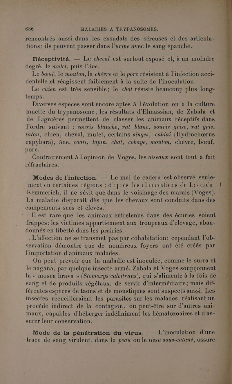 rencontrés aussi dans les exsudats des séreuses et des articula- tions ; ils peuvent passer dans l'urine avec le sang épanché. Réceptivité. — Le cheval est surtout exposé et, à un moindre degré, le mulet, puis l'âne. - Le bœuf, le mouton, la chèvre et le porc résistent à l'infection acci- dentelle et réagissent faiblement à la suite de l’inoculation. Le chien est très sensible; le chat résiste beaucoup plus long- temps. Diverses espèces sont encore aptes à l’évolution ou à la culture muette du trypanosome; les résultats d'Elmassian, de Zabala et de Lignières permettent de classer les animaux réceptifs dans l’ordre suivant : souris blanche, rat blanc, souris grise, rat gris, tatou, chien, cheval, mulet, certains singes, cabiai (Hydrochœærus capybara), âne, coati, lapin, chat, cobaye, mouton, chèvre, bœuf, porc. Contrairement à l'opinion de Voges, les oiseaux sont tout à fait réfractaires. | Modes de l'infection. — Le mal de cadera est observé seule- ment en certaines régions ; depiès les clscivalicrs Ce Licaca Kemmerich, il ne sévit que dans le voisinage des marais (Voges). La maladie disparaît dès que les chevaux sont conduits dans des campements secs et élevés. Il est rare que les animaux entretenus dans des écuries soient frappés ; les victimes appartiennent aux troupeaux d'élevage, aban- donnés en liberté dans les prairies. . L’affection ne se transmet pas par cohabitation; cependant l’ob- servalion démontre que de nombreux foyers ont été créés par l'importation d'animaux malades. On peut prévoir que la maladie est inoculée, comme le surra et le nagana, par quelque insecte armé. Zabala et Voges soupçonnent la « mosca brava » {Stomoxys calcitrans), qui s’alimente à la fois de sang et de produits végétaux, de servir d’intermédiaire; mais dif- férentes espèces de taons et de moustiques sont suspects aussi. Les insectes recueilleraient les parasites sur les malades, réalisant un procédé indirect de la contagion, ou peut-être sur d’autres ani- maux, capables d’héberger indéfiniment les hématozoaires et d’as- surer leur conservation. Mode de la pénétration du virus. — L'inoculation d’une trace de sang virulent. dans la peau ou le tissu sous-cutané, assure eat cl