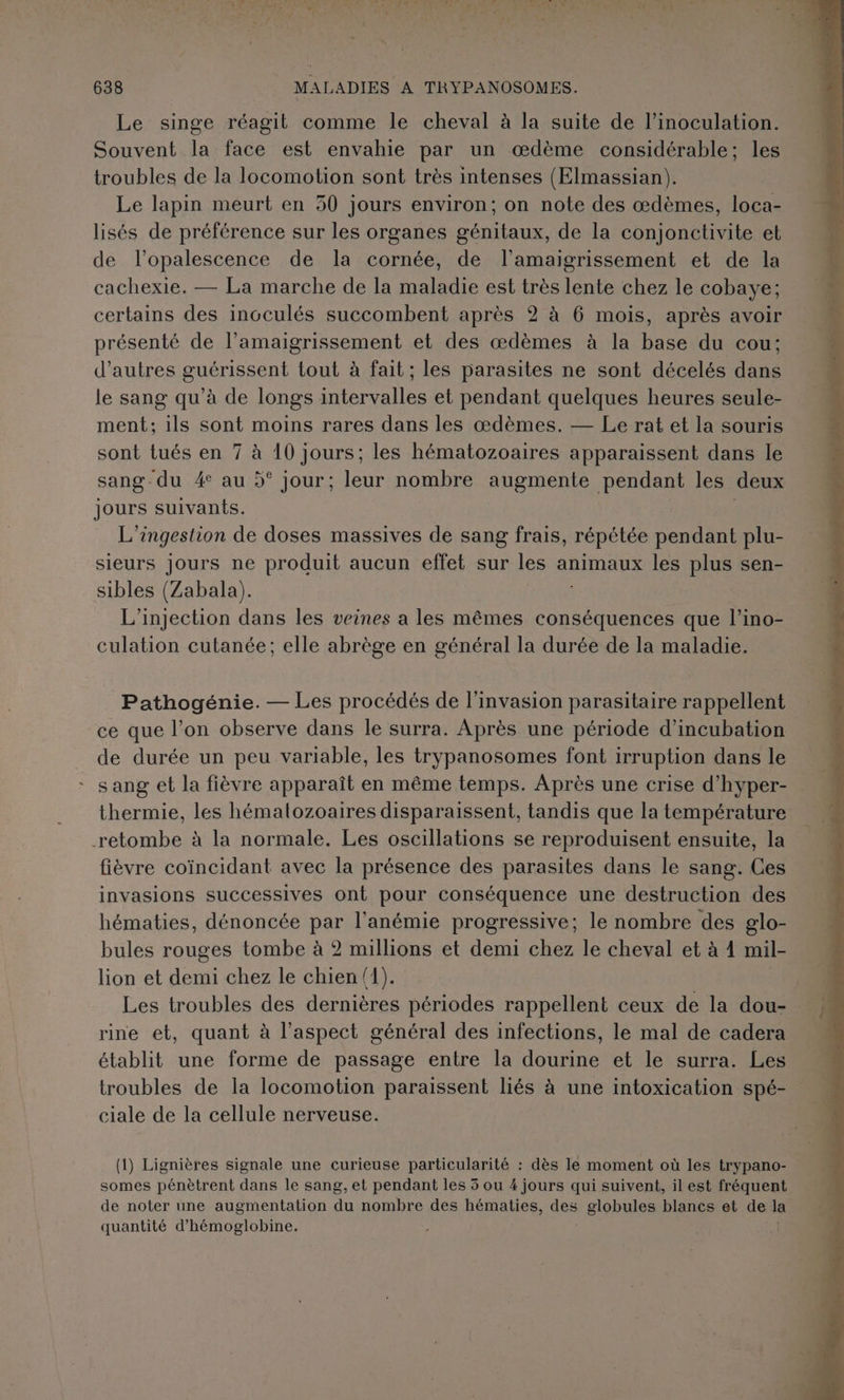 Le singe réagit comme le cheval à la suite de l’inoculation. Souvent la face est envahie par un œdème considérable; les troubles de la locomotion sont très intenses (Elmassian). Le lapin meurt en 50 jours environ; on note des œdèmes, loca- lisés de préférence sur les organes génitaux, de la conjonctivite et de l’opalescence de la cornée, de l’amaigrissement et de la cachexie. — La marche de la maladie est très lente chez le cobaye; certains des incculés succombent après 2 à 6 mois, après avoir présenté de l’amaigrissement et des œdèmes à la base du cou; d’autres guérissent tout à fait; les parasites ne sont décelés dans le sang qu’à de longs intervalles et pendant quelques heures seule- ment: ils sont moins rares dans les œdèmes. — Le rat et la souris sont tués en 7 à à 10 jours; les hématozoaires apparaissent dans le sang- ‘du 4% au 5° jour; leur nombre augmente pendant les deux jours suivants. Im ingestion de doses massives de sang frais, répétée pendant plu- sieurs Jours ne produit aucun effet sur les animaux les plus sen- sibles (Zabala). L’injection dans les veines a les mêmes conséquences que l’ino- culation cutanée; elle abrège en général la durée de la maladie. Pathogénie. — Les procédés de l'invasion parasitaire rappellent ce que l’on observe dans le surra. Après une période d’incubation de durée un peu variable, les trypanosomes font irruption dans le sang et la fièvre apparaît en même temps. Après une crise d’hyper- thermie, les hémalozoaires disparaissent, tandis que la température retombe à la normale. Les oscillations se reproduisent ensuite, la fièvre coïncidant avec la présence des parasites dans le sang. Ces invasions successives ont pour conséquence une destruction des hématies, dénoncée par l’anémie progressive; le nombre des glo- bules rouges tombe à 2 millions et demi chez le cheval et à 4 mil- lion et demi chez le chien (1). | Les troubles des dernières périodes rappellent ceux de la dou- rine et, quant à l'aspect général des infections, le mal de cadera établit une forme de passage entre la dourine et le surra. Les troubles de la locomotion paraissent liés à une intoxication spé- ciale de la cellule nerveuse. (1) Lignières signale une curieuse particularité : dès le moment où les trypano- somes pénètrent dans le sang, et pendant les 3 ou 4 jours qui suivent, il est fréquent de noter une augmentation du nombre des hématies, des : globules blancs et de la quantité d’hémoglobine.