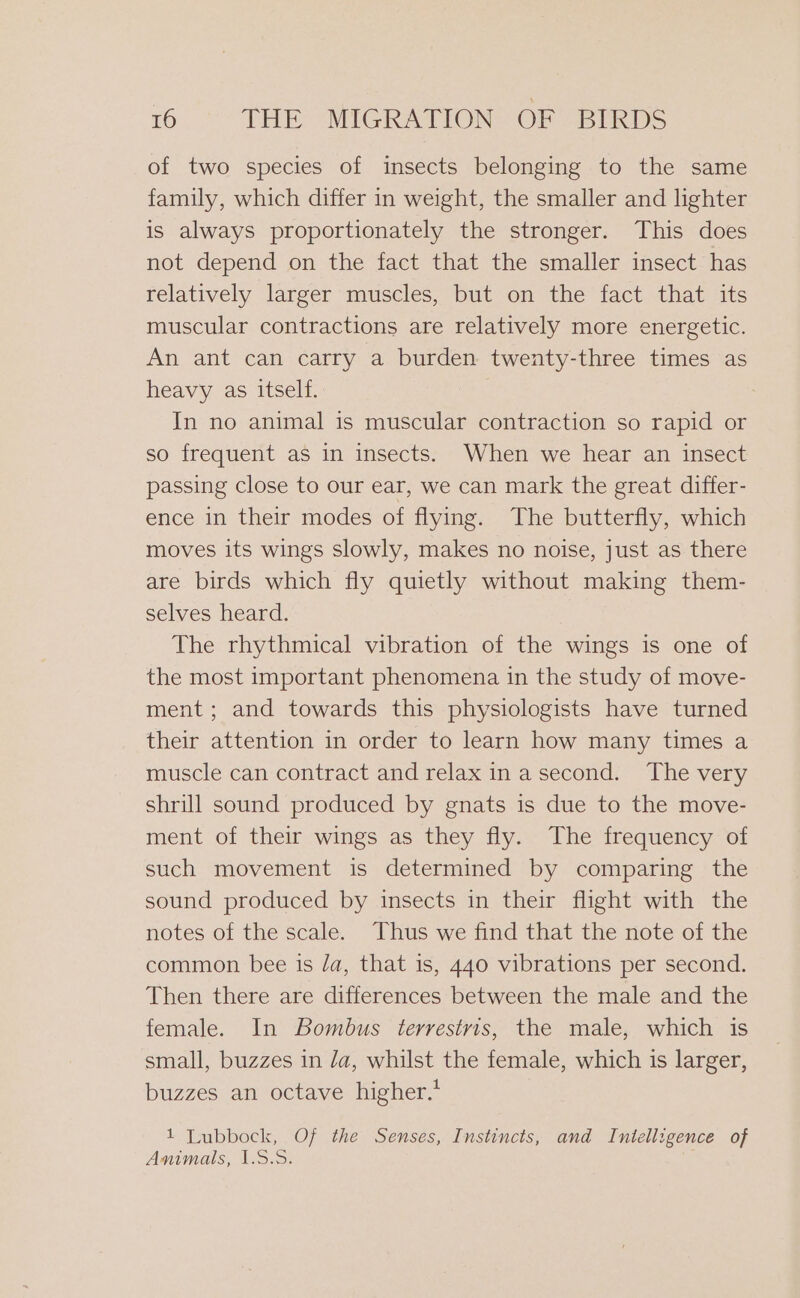 of two species of insects belonging to the same family, which differ in weight, the smaller and lighter is always proportionately the stronger. This does not depend on the fact that the smaller insect has relatively larger muscles, but on the fact that its muscular contractions are relatively more energetic. An ant can carry a burden twenty-three times as heavy as itself. In no animal is muscular contraction so rapid or so frequent as in insects. When we hear an insect passing close to our ear, we can mark the great differ- ence in their modes of flying. The butterfly, which moves its wings slowly, makes no noise, just as there are birds which fly quietly without making them- selves heard. The rhythmical vibration of the wings is one of the most important phenomena in the study of move- ment; and towards this physiologists have turned their attention in order to learn how many times a muscle can contract and relax in a second. The very shrill sound produced by gnats is due to the move- ment of their wings as they fly. The frequency of such movement is determined by comparing the sound produced by insects in their flight with the notes of the scale. Thus we find that the note of the common bee is Ja, that is, 440 vibrations per second. Then there are differences between the male and the female. In Bombus terrestris, the male, which is small, buzzes in /a, whilst the female, which is larger, buzzes an octave higher.’ 1 Lubbock, Of the Senses, Instincts, and Intelligence of Animals, 1.8.8.