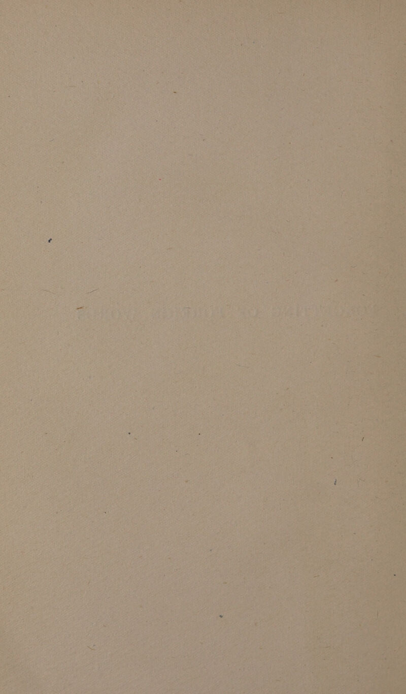 a N ER? a D De is Ba Om IE Pepe rly