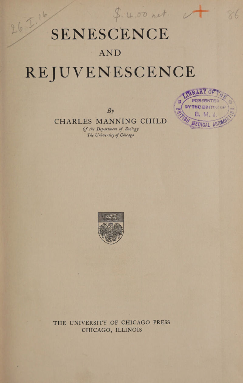 SENESCENCE AND REJUVENESCENCE ‘9g // PRESENTED ~ ; BY THE. EDITO By ‘2 \ s : “DP B; M oe: he Ao Of the Department of Zoclogy “5 The University of Chicago THE UNIVERSITY OF CHICAGO PRESS CHICAGO, ILLINOIS ‘4 %,