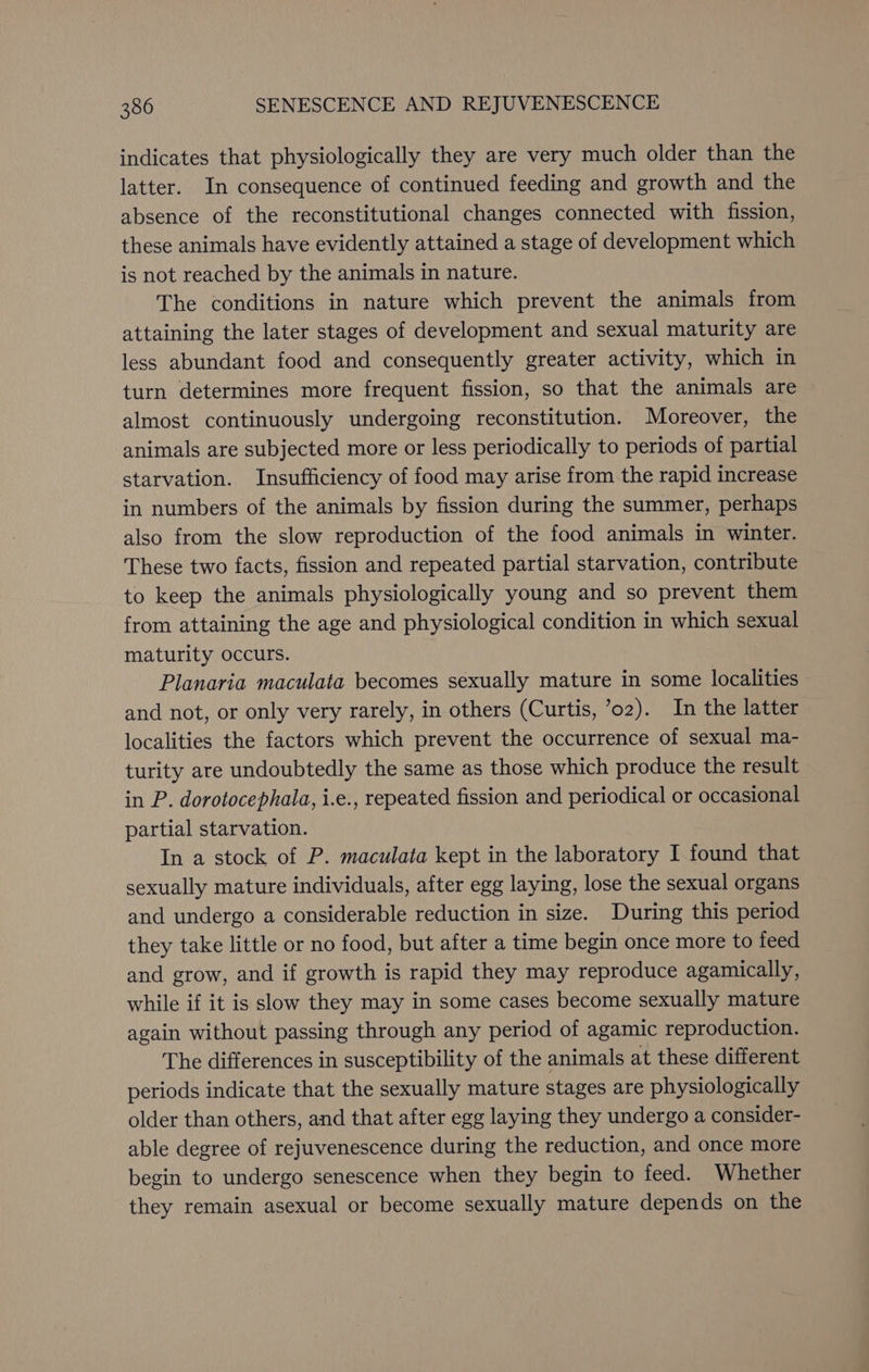 indicates that physiologically they are very much older than the latter. In consequence of continued feeding and growth and the absence of the reconstitutional changes connected with fission, these animals have evidently attained a stage of development which is not reached by the animals in nature. The conditions in nature which prevent the animals from attaining the later stages of development and sexual maturity are less abundant food and consequently greater activity, which in turn determines more frequent fission, so that the animals are almost continuously undergoing reconstitution. Moreover, the animals are subjected more or less periodically to periods of partial starvation. Insufficiency of food may arise from the rapid increase in numbers of the animals by fission during the summer, perhaps also from the slow reproduction of the food animals in winter. These two facts, fission and repeated partial starvation, contribute to keep the animals physiologically young and so prevent them from attaining the age and physiological condition in which sexual maturity occurs. Planaria maculata becomes sexually mature in some localities and not, or only very rarely, in others (Curtis, ’o2). In the latter localities the factors which prevent the occurrence of sexual ma- turity are undoubtedly the same as those which produce the result in P. dorotocephala, i.e., repeated fission and periodical or occasional partial starvation. In a stock of P. maculata kept in the laboratory I found that sexually mature individuals, after egg laying, lose the sexual organs and undergo a considerable reduction in size. During this period they take little or no food, but after a time begin once more to feed and grow, and if growth is rapid they may reproduce agamically, while if it is slow they may in some cases become sexually mature again without passing through any period of agamic reproduction. The differences in susceptibility of the animals at these different periods indicate that the sexually mature stages are physiologically older than others, and that after egg laying they undergo a consider- able degree of rejuvenescence during the reduction, and once more begin to undergo senescence when they begin to feed. Whether they remain asexual or become sexually mature depends on the