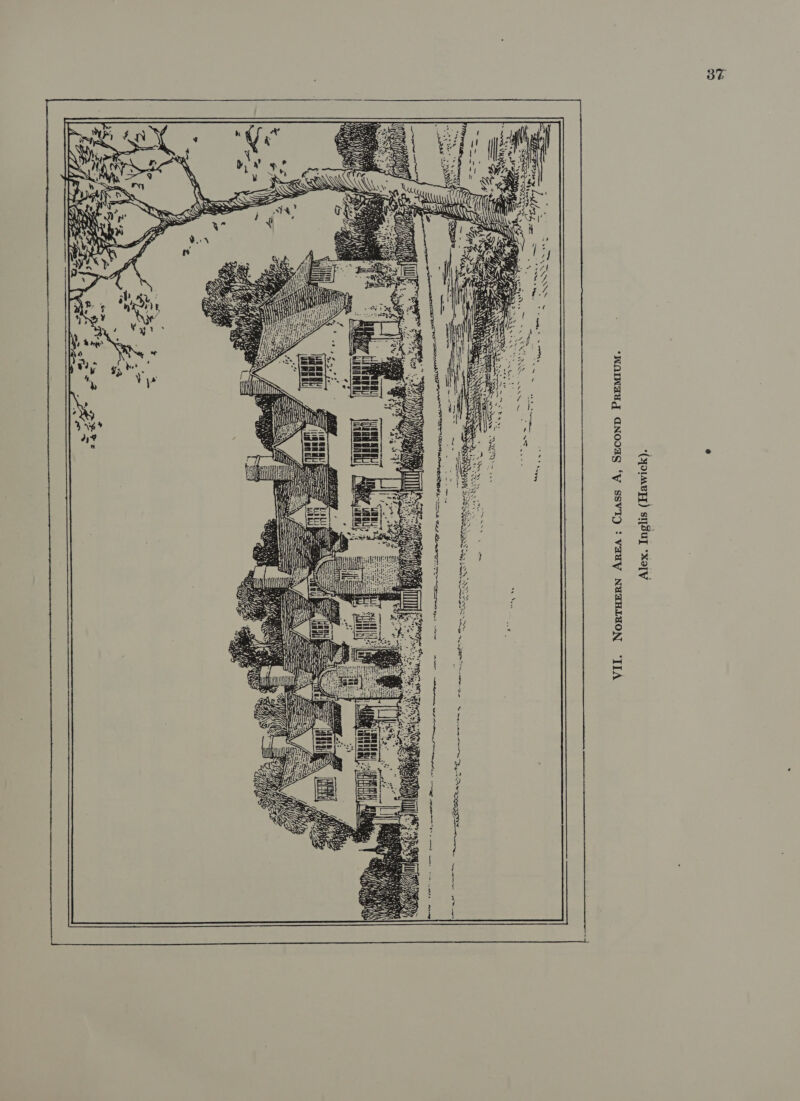 *(youney) sa uJ *XoTV “WAINAYG ANOOES ‘Vv SSVI) °- VaHY NAYaHLYuON TILA Cat fa Z Fig <i vs 4 ee ae eh 35 SQ f . aN s = BSR AR 2S Sau Lag pak AN Pans. S ae ee S—— a = Pt Se Ne BINT ene =e SS —— ‘ 3 Pa OAV en) hen yt |  |)! ; Vic aS = San