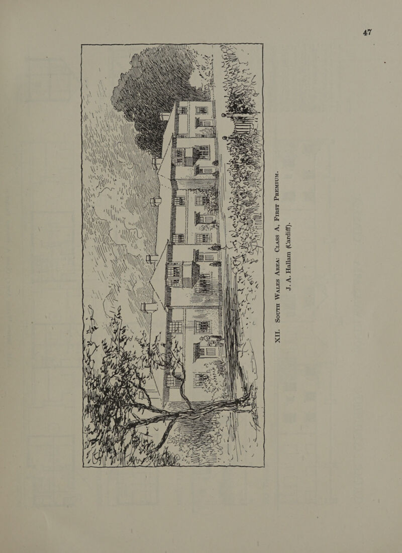 \ \ \ \ \ ‘\ V\\M ATS \l \.\ \ “h \ ca 7 : 1 CAT ‘ wy Wi AY \ N \ \ Se HANS 2) Se aad, a f a NYS \\y Nt oe ADB aici me fq “; = mS Ter (S CC wT eg SIS n ae = ZT H y v) é oe. Mad Wis Z —_ 2 APY, ical 47