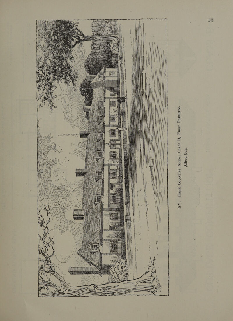 | \ \ ‘“\ \ \ WY atl We iy .- \ Home CounTIEs AREA: Cuass B, First PREMIUM. Alfred Cox. Or