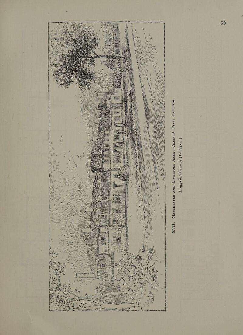 Sa A - mse Ww } So ae . 48 bs wae MANCHESTER AND LivERPOOL AREA: CLASS B. First PREMIUM. Briggs &amp; Thornely (Liverpool)