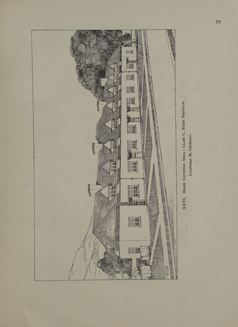 iN a wy sy ves er ~ot Mt nt nh HU in ANE eee er Cowes, ==