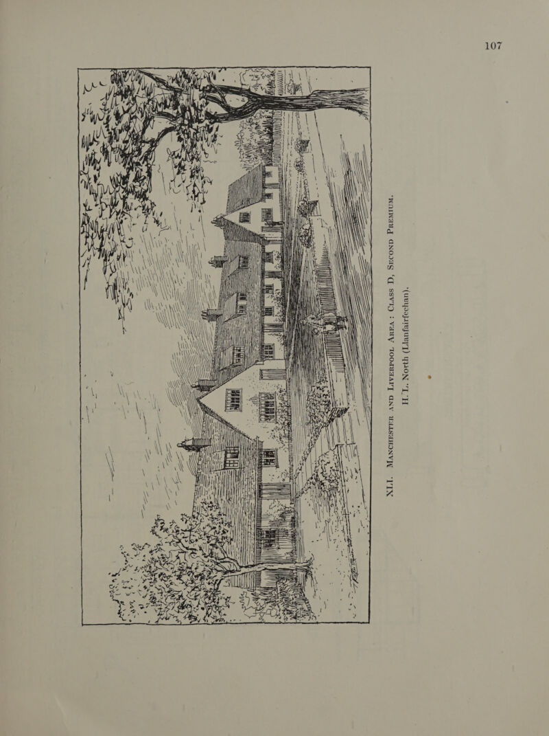 ‘(uBYpojarejueyT) YON “LH ‘WAINAYG GNOIAS ‘Cl SSWID : VANY TOOdUTA]T GNV UALSHHONV]I “]TX — ri ) ————s\ |\\h \ =, \\ \ ———— ee = = = SS =S= Mu | 1, jy If “+ i ‘ i = = SSS = We q = = Lt. if i | ee | a aa i 1 pha — __ A | Be = S= Ee as ae Ge eS