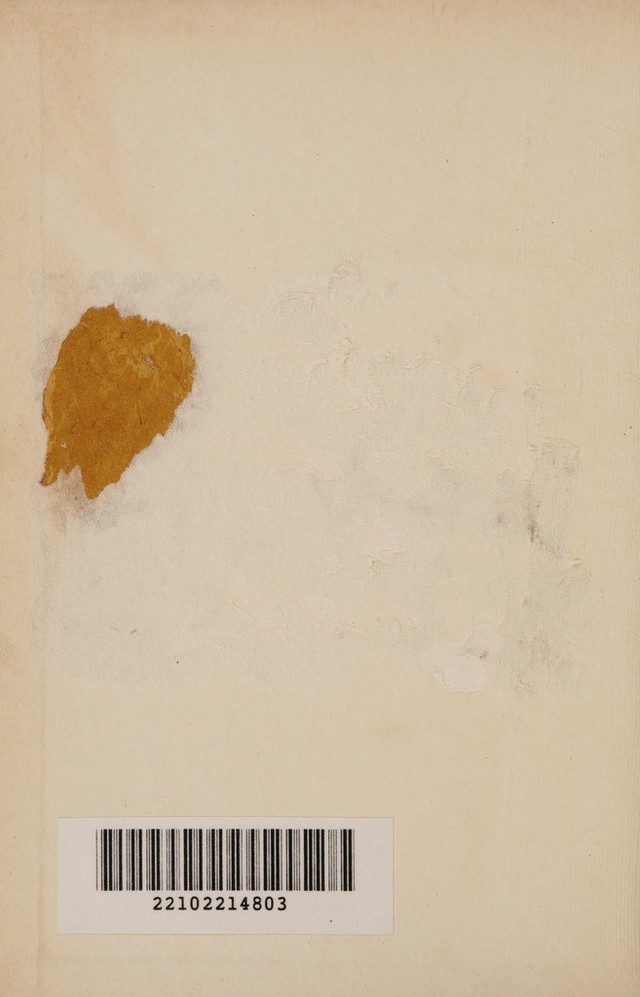 digitised image 2