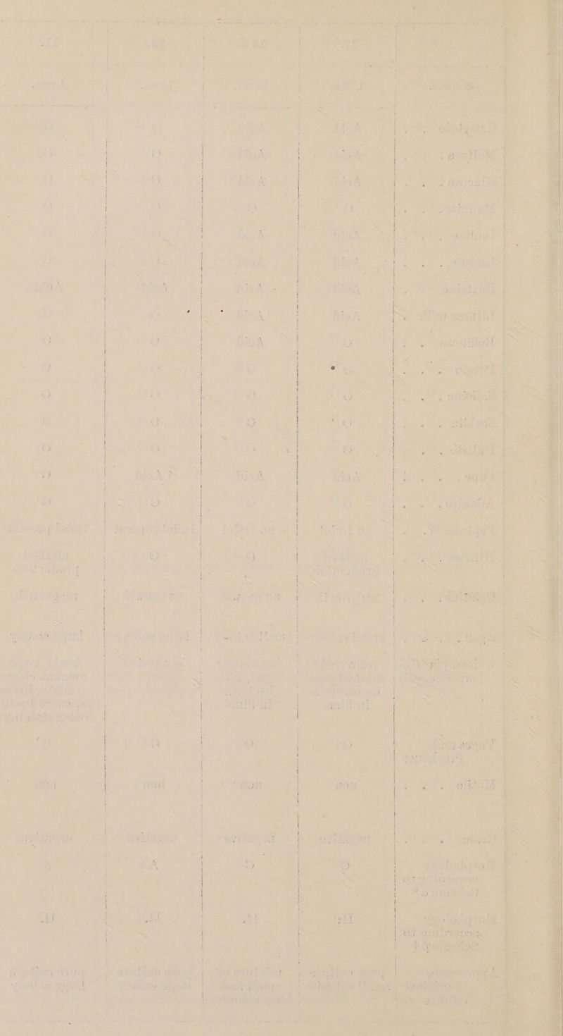 an aerate oes eda cet Se 6 ee , mi ER aoe if} xe fee a Hbibeontep Shia li ‘Peay ; 8 ; Shots eer ee eee a ee rT » ss * + Pe Hore 2 > “Spienidie wey at RI, a hie gs Tey pads pr middle aTabieeu . Misqubigenaite boy. Pal Paheintor a, ns