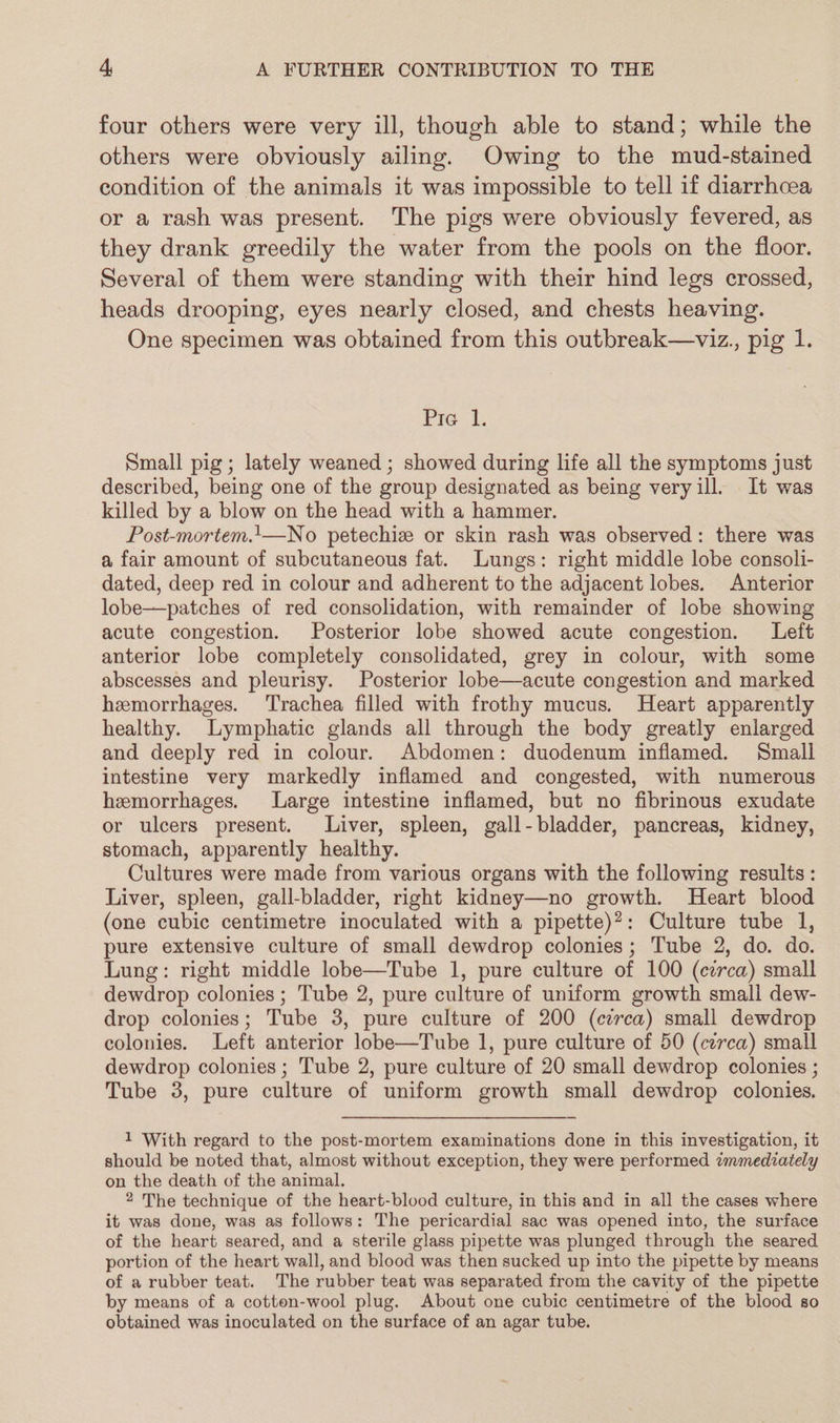 four others were very ill, though able to stand; while the others were obviously ailing. Owing to the mud-stained condition of the animals it was impossible to tell if diarrhcea or a rash was present. The pigs were obviously fevered, as they drank greedily the water from the pools on the floor. Several of them were standing with their hind legs crossed, heads drooping, eyes nearly closed, and chests heaving. One specimen was obtained from this outbreak—viz., pig 1. fie? 1, Small pig; lately weaned ; showed during life all the symptoms just described, being one of the group designated as being veryill. It was killed by a blow on the head with a hammer. Post-mortem.'—No petechiz or skin rash was observed: there was a fair amount of subcutaneous fat. Lungs: right middle lobe consoli- dated, deep red in colour and adherent to the adjacent lobes. Anterior lobe——patches of red consolidation, with remainder of lobe showing acute congestion. Posterior lobe showed acute congestion. Left anterior lobe completely consolidated, grey in colour, with some abscesses and pleurisy. Posterior lobe—acute congestion and marked hemorrhages. Trachea filled with frothy mucus. Heart apparently healthy. Lymphatic glands all through the body greatly enlarged and deeply red in colour. Abdomen: duodenum inflamed. Small intestine very markedly inflamed and congested, with numerous hemorrhages. Large intestine inflamed, but no fibrinous exudate or ulcers present. Liver, spleen, gall-bladder, pancreas, kidney, stomach, apparently healthy. Cultures were made from various organs with the following results: Liver, spleen, gall-bladder, right kidney—no growth. Heart blood (one cubic centimetre inoculated with a pipette)?: Culture tube 1, pure extensive culture of small dewdrop colonies; Tube 2, do. do. Lung: right middle lobe—Tube 1, pure culture of 100 (circa) small dewdrop colonies ; Tube 2, pure culture of uniform growth small dew- drop colonies; Tube 3, pure culture of 200 (cerca) small dewdrop colonies. Left anterior lobe—Tube 1, pure culture of 50 (cerca) small dewdrop colonies ; Tube 2, pure culture of 20 small dewdrop colonies ; Tube 3, pure culture of uniform growth small dewdrop colonies. 1 With regard to the post-mortem examinations done in this investigation, it should be noted that, almost without exception, they were performed zmmediately on the death of the animal. 2 The technique of the heart-blood culture, in this and in all the cases where it was done, was as follows: The pericardial sac was opened into, the surface of the heart seared, and a sterile glass pipette was plunged through the seared portion of the heart wall, and blood was then sucked up into the pipette by means of a rubber teat. The rubber teat was separated from the cavity of the pipette by means of a cotton-wool plug. About one cubic centimetre of the blood so obtained was inoculated on the surface of an agar tube.