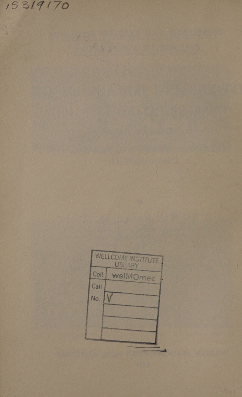 7S SIF (70 Ni TUTE f