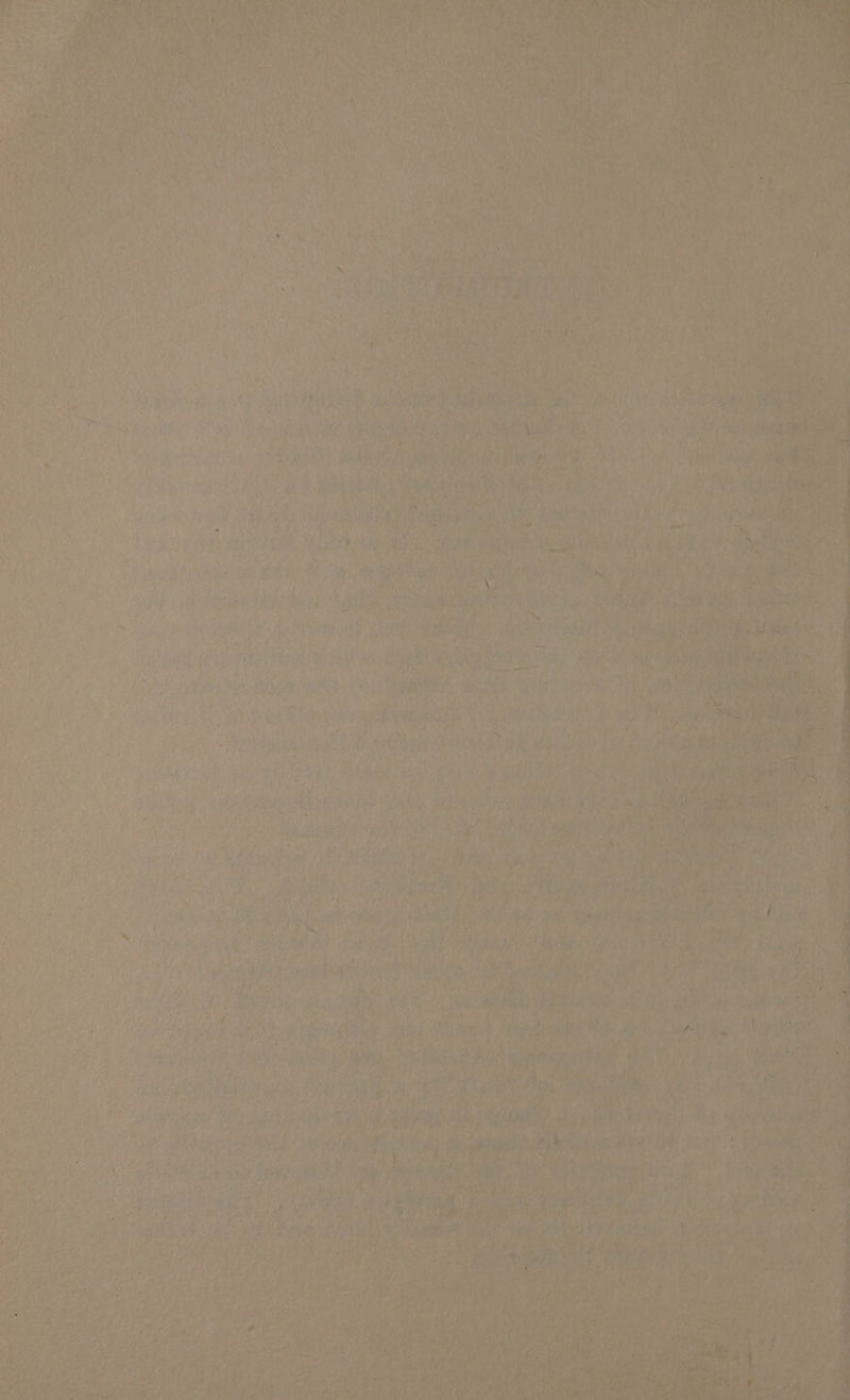 ny naha so ars i ’ al SS ie oh rier sath Sahat Dd ne ’ f zs Na pa ‘* f : ; vi ’ gad on ‘? 4 ; t f } 0 4 7 af { 4 ee A x ‘ : ‘ <5 had, ee mtg 7 ent a X ‘ ‘ : ; tap ¢ | Bai ’ ¢, 4 by ’ iP ‘ * ut as an £ a ; v7 % : fe ] st * iy 5 ; ‘ P AS ; 440 mired Pr 4 > f y