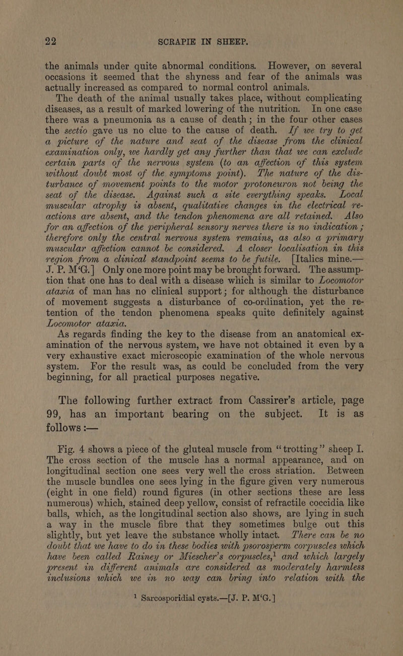the animals under quite abnormal conditions. However, on several occasions it seemed that the shyness and fear of the animals was actually increased as compared to normal control animals. . The death of the animal usually takes place, without complicating diseases, as a result of marked lowering of the nutrition. In one case there was a pneumonia as a cause of death; in the four other cases the sectto gave us no clue to the cause of death. Jf we try to get a picture of the nature and seat of the disease from the clinical examination only, we hardly get any further than that we can exclude certain parts of the nervous system (to an affection of this system without doubt most of the symptoms point). The nature of the dts- turbance of movement points to the motor protoneuron not being the seat of the disease. Against such a stte everything speaks. Local muscular atrophy wis absent, qualitative changes in the electrical re- actions are absent, and the tendon phenomena are all retained. Also for an affection of the peripheral sensory nerves there is no indication ; therefore only the central nervous system remains, as also a primary muscular affection cannot be considered. A closer localisation in this region from a clinical standpoint seems to be futile. [Italics mine.— J.P. M‘G.] Only one more point may be brought forward. The assump- tion that one has to deal with a disease which is similar to Locomotor ataxia of man has no clinical support; for although the disturbance of movement suggests a disturbance of co-ordination, yet the re- tention of the tendon phenomena speaks quite definitely against Locomotor ataxia. As regards finding the key to the disease from an anatomical ex- amination of the nervous system, we have not obtained it even by a very exhaustive exact microscopic examination of the whole nervous system. For the result was, as could be concluded from the very beginning, for all practical purposes negative. The following further extract from Cassirer’s article, page 99, has an important bearing on the subject. It is as follows :— Fig. 4 shows a piece of the gluteal muscle from “trotting” sheep I. The cross section of the muscle has a normal appearance, and on longitudinal section one sees very well the cross striation. Between the muscle bundles one sees lying in the figure given very numerous (eight in one field) round figures (in other sections these are less numerous) which, stained deep yellow, consist of refractile coccidia like balls, which, as the longitudinal section also shows, are lying in such a way in the muscle fibre that they sometimes bulge out this slightly, but yet leave the substance wholly intact. There can be no doubt that we have to do in these bodies with psorosperm corpuscles which have been called Rainey or Miescher’s corpuscles,! and which largely present in different animals are considered as moderately harmless inclusions which we in no way can bring into relation with the 1 Sarcosporidial cysts.—[J. P. M‘G. ]
