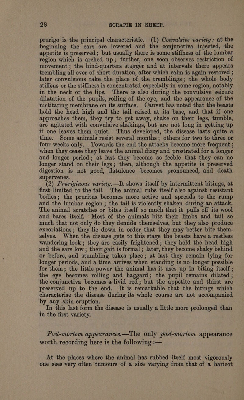prurigo is the principal characteristic. (1) Convulsive variety: at the beginning the ears are lowered and the conjunctiva injected, the appetite is preserved; but usually there is some stiffness of the lumbar region which is arched up; further, one soon observes restriction of movement; the hind-quarters stagger and at intervals there appears trembling all over of short duration, after which calm is again restored ; later convulsions take the place of the tremblings; the whole body stiffens or the stiffness is concentrated especially in some region, notably in the neck or the lips. There is also during the convulsive seizure dilatation of the pupils, rolling of the eye, and the appearance of the nictitating membrane on its surface. Cauvet has noted that the beasts hold the head high and the tail raised at its base, and that if one approaches them, they try to get away, shake on their legs, tumble, are agitated with convulsive shakings, but are not long in getting up if one leaves them quiet. Thus developed, the disease lasts quite a time. Some animals resist several months; others for two to three or four weeks only. Towards the end the attacks become more frequent ; when they cease they leave the animal dizzy and prostrated for a longer and longer period; at last they become so feeble that they can no longer stand on their legs; then, although the appetite is preserved digestion is not good, flatulence becomes pronounced, and death supervenes. (2) Pruriginous variety.—It shows itself by intermittent bitings, at first limited to the tail. The animal rubs itself also against resistant bodies; the pruritus becomes more active and spreads to the rump and the lumbar region ; the tail is violently shaken during an attack. The animal scratches or bites itself so much that it pulls off its wool and bares itself. Most of the animals bite their limbs and tail so much that not only do they denude themselves, but they also produce excoriations ; they lie down in order that they may better bite them- selves. When the disease gets to this stage the beasts have a restless wandering look ; they are easily frightened ; they hold the head high and the ears low ; their gait is formal; later, they become shaky behind or before, and stumbling takes place; at last they remain lying for longer periods, and a time arrives when standing is no longer possible for them; the little power the animal has it uses up in biting itself ; the eye becomes rolling and haggard; the pupil remains dilated ; the conjunctiva becomes a livid red; but the appetite and thirst are preserved up to the end. It is remarkable that the bitings which characterise the disease during its whole course are not accompanied by any skin eruption. In this last form the disease is usually a little more prolonged than in the first variety. Post-mortem appearances.—The only post-mortem appearance worth recording here is the following :— At the places where the animal has rubbed itself most vigorously one sees very often tumours of a size varying from that of a haricot