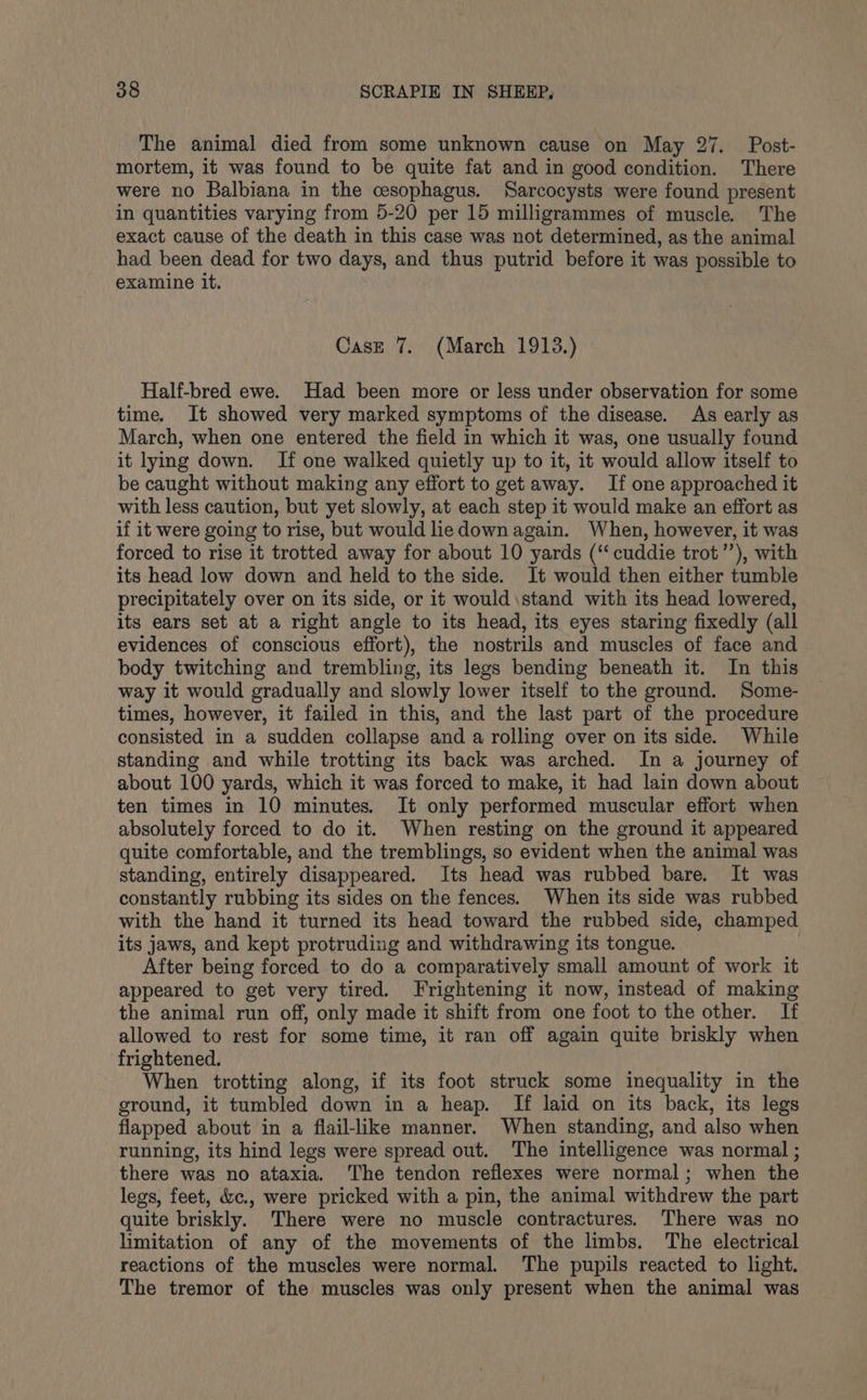 The animal died from some unknown cause on May 27. Post- mortem, it was found to be quite fat and in good condition. There were no Balbiana in the cesophagus. Sarcocysts were found present in quantities varying from 5-20 per 15 milligrammes of muscle. The exact cause of the death in this case was not determined, as the animal had been dead for two days, and thus putrid before it was possible to examine it. Case 7. (March 1913.) Half-bred ewe. Had been more or less under observation for some time. It showed very marked symptoms of the disease. As early as March, when one entered the field in which it was, one usually found it lying down. If one walked quietly up to it, it would allow itself to be caught without making any effort to get away. If one approached it with less caution, but yet slowly, at each step it would make an effort as if it were going to rise, but would liedown again. When, however, it was forced to rise it trotted away for about 10 yards (‘ cuddie trot’’), with its head low down and held to the side. It would then either tumble precipitately over on its side, or it would stand with its head lowered, its ears set at a right angle to its head, its eyes staring fixedly (all evidences of conscious effort), the nostrils and muscles of face and body twitching and trembling, its legs bending beneath it. In this way it would gradually and slowly lower itself to the ground. Some- times, however, it failed in this, and the last part of the procedure consisted in a sudden collapse and a rolling over on its side. While standing and while trotting its back was arched. In a journey of about 100 yards, which it was forced to make, it had lain down about ten times in 10 minutes. It only performed muscular effort when absolutely forced to do it. When resting on the ground it appeared quite comfortable, and the tremblings, so evident when the animal was standing, entirely disappeared. Its head was rubbed bare. It was constantly rubbing its sides on the fences. When its side was rubbed with the hand it turned its head toward the rubbed side, champed its jaws, and kept protruding and withdrawing its tongue. After being forced to do a comparatively small amount of work it appeared to get very tired. Frightening it now, instead of making the animal run off, only made it shift from one foot to the other. If allowed to rest for some time, it ran off again quite briskly when frightened. When trotting along, if its foot struck some inequality in the ground, it tumbled down in a heap. If laid on its back, its legs flapped about in a flail-like manner. When standing, and also when running, its hind legs were spread out. The intelligence was normal ; there was no ataxia. The tendon reflexes were normal; when the legs, feet, &amp;c., were pricked with a pin, the animal withdrew the part quite briskly. There were no muscle contractures. There was no limitation of any of the movements of the limbs. The electrical reactions of the muscles were normal. The pupils reacted to light. The tremor of the muscles was only present when the animal was