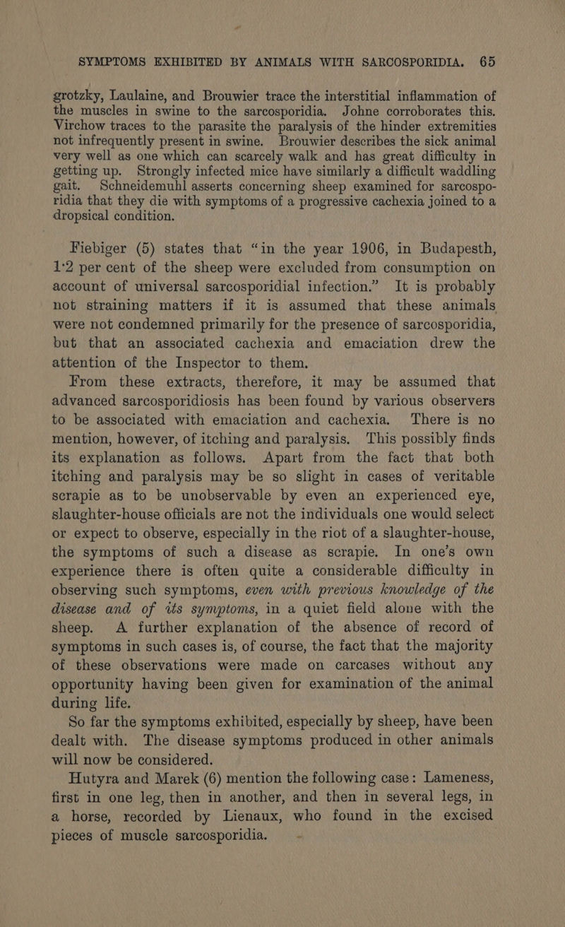 grotzky, Laulaine, and Brouwier trace the interstitial inflammation of the muscles in swine to the sarcosporidia. Johne corroborates this. Virchow traces to the parasite the paralysis of the hinder extremities not infrequently present in swine. Brouwier describes the sick animal very well as one which can scarcely walk and has great difficulty in getting up. Strongly infected mice have similarly a difficult waddling gait. Schneidemuhl asserts concerning sheep examined for sarcospo- ridia that they die with symptoms of a progressive cachexia joined to a dropsical condition. Fiebiger (5) states that “in the year 1906, in Budapesth, 1:2 per cent of the sheep were excluded from consumption on account of universal sarcosporidial infection.” It is probably not straining matters if it is assumed that these animals were not condemned primarily for the presence of sarcosporidia, but that an associated cachexia and emaciation drew the attention of the Inspector to them. From these extracts, therefore, it may be assumed that advanced sarcosporidiosis has been found by various observers to be associated with emaciation and cachexia. There is no mention, however, of itching and paralysis. This possibly finds its explanation as follows. Apart from the fact that both itching and paralysis may be so slight in cases of veritable scrapie as to be unobservable by even an experienced eye, slaughter-house officials are not the individuals one would select or expect to observe, especially in the riot of a slaughter-house, the symptoms of such a disease as scrapie. In one’s own experience there is often quite a considerable difficulty in observing such symptoms, even with previous knowledge of the disease and of ws synyptoms, in a quiet field alone with the sheep. A further explanation of the absence of record of symptoms in such cases is, of course, the fact that, the majority of these observations were made on carcases without any opportunity having been given for examination of the animal during life. So far the symptoms exhibited, especially by sheep, have been dealt with. The disease symptoms produced in other animals will now be considered. Hutyra and Marek (6) mention the following case: Lameness, first in one leg, then in another, and then in several legs, in a horse, recorded by Lienaux, who found in the excised pieces of muscle sarcosporidia. -