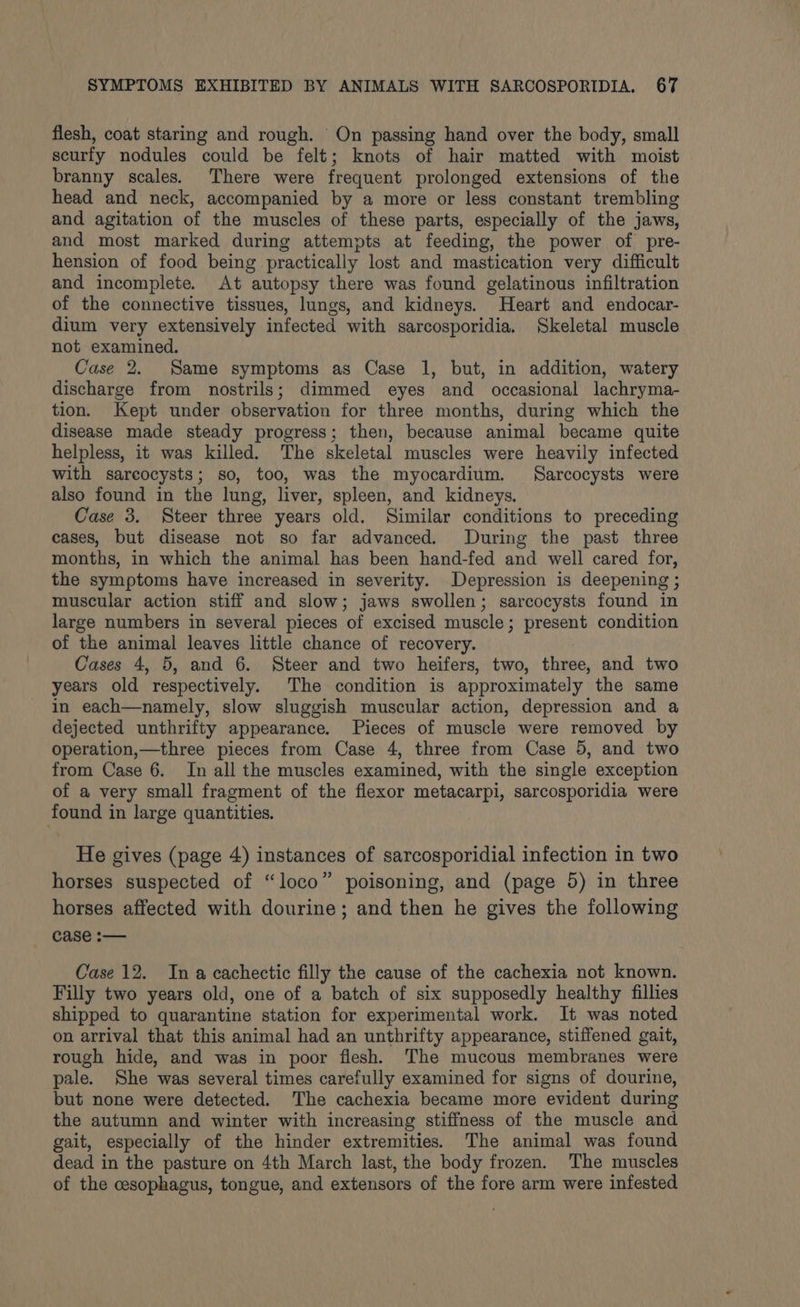 flesh, coat staring and rough. ‘On passing hand over the body, small scurfy nodules could be felt; knots of hair matted with moist branny scales. There were frequent prolonged extensions of the head and neck, accompanied by a more or less constant trembling and agitation of the muscles of these parts, especially of the jaws, and most marked during attempts at feeding, the power of pre- hension of food being practically lost and mastication very difficult and incomplete. At autopsy there was found gelatinous infiltration of the connective tissues, lungs, and kidneys. Heart and endocar- dium very extensively infected with sarcosporidia. Skeletal muscle not examined. Case 2. Same symptoms as Case 1, but, in addition, watery discharge from nostrils; dimmed eyes and occasional lachryma- tion. Kept under observation for three months, during which the disease made steady progress; then, because animal became quite helpless, it was killed. The skeletal muscles were heavily infected with sarcocysts; so, too, was the myocardium. Sarcocysts were also found in the lung, liver, spleen, and kidneys. Case 3. Steer three years old. Similar conditions to preceding cases, but disease not so far advanced. During the past three months, in which the animal has been hand-fed and well cared for, the symptoms have increased in severity. Depression is deepening ; muscular action stiff and slow; jaws swollen; sarcocysts found in large numbers in several pieces of excised muscle; present condition of the animal leaves little chance of recovery. Cases 4, 5, and 6. Steer and two heifers, two, three, and two years old respectively. The condition is approximately the same in each—namely, slow sluggish muscular action, depression and a dejected unthrifty appearance. Pieces of muscle were removed by operation,—three pieces from Case 4, three from Case 5, and two from Case 6. In all the muscles examined, with the single exception of a very small fragment of the flexor metacarpi, sarcosporidia were found in large quantities. He gives (page 4) instances of sarcosporidial infection in two horses suspected of “loco” poisoning, and (page 5) in three horses affected with dourine; and then he gives the following case :— Case 12. Ina cachectic filly the cause of the cachexia not known. Filly two years old, one of a batch of six supposedly healthy fillies shipped to quarantine station for experimental work. It was noted on arrival that this animal had an unthrifty appearance, stiffened gait, rough hide, and was in poor flesh. The mucous membranes were pale. She was several times carefully examined for signs of dourine, but none were detected. The cachexia became more evident during the autumn and winter with increasing stiffness of the muscle and gait, especially of the hinder extremities. The animal was found dead in the pasture on 4th March last, the body frozen. The muscles of the cesophagus, tongue, and extensors of the fore arm were infested