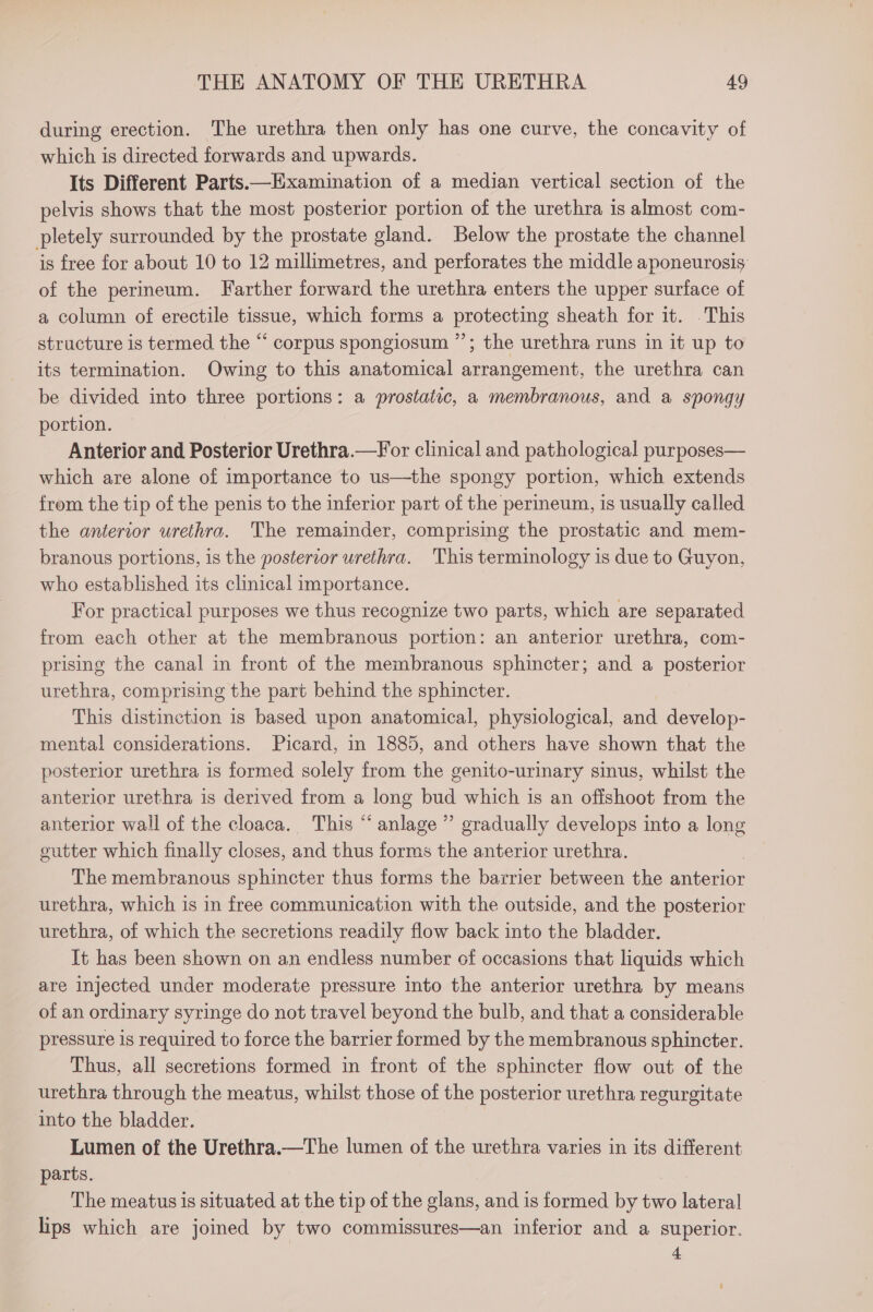 during erection. The urethra then only has one curve, the concavity of which is directed forwards and upwards. Its Different Parts. —Examination of a median vertical section of the pelvis shows that the most posterior portion of the urethra is almost com- pletely surrounded by the prostate gland. Below the prostate the channel is free for about 10 to 12 millimetres, and perforates the middle aponeurosis of the perineum. Farther forward the urethra enters the upper surface of a column of erectile tissue, which forms a protecting sheath for it. .This structure is termed the “ corpus spongiosum ”’; the urethra runs in it up to its termination. Owing to this anatomical arrangement, the urethra can be divided into three portions: a prostatic, a membranous, and a spongy portion. Anterior and Posterior Urethra.—For clinical and pathological purposes— which are alone of importance to us—the spongy portion, which extends from the tip of the penis to the inferior part of the perineum, is usually called the anterior urethra. The remainder, comprising the prostatic and mem- branous portions, is the posterior urethra. This terminology is due to Guyon, who established its clinical importance. For practical purposes we thus recognize two parts, which are separated from each other at the membranous portion: an anterior urethra, com- prising the canal in front of the membranous sphincter; and a posterior urethra, comprising the part behind the sphincter. This distinction is based upon anatomical, physiological, and develop- mental considerations. Picard, in 1885, and others have shown that the posterior urethra is formed solely from the genito-urinary sinus, whilst the anterior urethra is derived from a long bud which 1s an offshoot from the anterior wall of the cloaca. This “ anlage ” gradually develops into a long cutter which finally closes, and thus forms the anterior urethra. The membranous sphincter thus forms the barrier between the anterior urethra, which is in free communication with the outside, and the posterior urethra, of which the secretions readily flow back into the bladder. It has been shown on an endless number of occasions that liquids which are injected under moderate pressure into the anterior urethra by means of an ordinary syringe do not travel beyond the bulb, and that a considerable pressure is required to force the barrier formed by the membranous sphincter. Thus, all secretions formed in front of the sphincter flow out of the urethra through the meatus, whilst those of the posterior urethra regurgitate into the bladder. Lumen of the Urethra.—The lumen of the urethra varies in its different parts. | The meatus is situated at the tip of the glans, and is formed by two lateral lips which are joined by two commissures—an inferior and a superior. 4