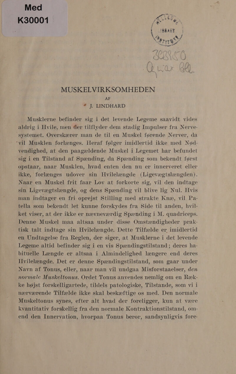 Med K30001 VSEL . ENES! (: ki 83 MUSKELVIRKSOMHEDEN AF &amp; J. LINDHARD Musklerne befinder sig i det levende Legeme saavidt vides aldrig i Hvile, men der tilflyder dem stadig Impulser fra Nerve- systemet. Overskærer man de til en Muskel førende Nerver, da ”vil Musklen forlænges. Heraf følger imidlertid ikke med Nød- vendighed, at den påagældende Muskel i Legemet har befundet sig i en Tilstand af Spænding, da Spænding som bekendt først opstaar, naar Musklen, hvad enten den nu er innerveret eller ikke, forlænges udover sin Hvilelængde (Ligevægtslængden). Naar en. Muskel frit faar Lov åt forkorte sig, vil den indtage sin Ligevægtslængde, og dens Spænding vil blive lig Nul. Hvis man indtager en fri oprejst Stilling med strakte Knæ, vil Pa- tella som bekendt let kunne forskydes fra Side til anden, hvil- ket viser, at der ikke er nævneværdig Spænding i M. quadriceps. Denne Muskel maa altsaa under disse Omstændigheder prak- tisk talt indtage sin Hvilelængde. Dette Tilfælde er imidlertid en Undtagelse fra Reglen, der siger, at Musklerne i det levende Legeme altid befinder sig i en vis Spændingstilstand ; deres ha- bituelle Længde er altsaa i Almindelighed længere end deres Hvilelængde. Det er denne Spændingstilstand, som gaar under Navn af Tonus, eller, naar man vil undgaa Misforstaaelser, den normale Muskeltonus. Ordet Tonus anvendes nemlig om en Ræk- ke højst forskelligartede, tildels patologiske, Tilstande, som vi i nærværende Tilfælde ikke skal beskæftige os med. Den normale Muskeltonus synes, efter alt hvad der foreligger, kun at være kvantitativ forskellig fra den normale Kontraktionstilstand, om- end den Innervation, hvorpaa Tonus beror, sandsynligvis fore-