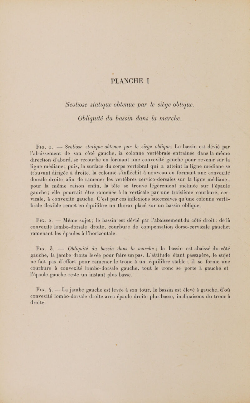 Scoliose statique obtenue par le siège oblique. Obliquité du bassin dans la marche. Fic. 1. — Scoliose statique obtenue par le siège oblique. Le bassin est dévié par l’abaissement de son côté gauche, ia colonne vertébrale entrainée dans la même direction d’abord, se recourbe en formant une convexité gauche pour revenir sur la ligne médiane ; puis, la surface du corps vertébral qui a atteint la ligne médiane se trouvant dirigée à droite, la colonne s’infléchit à nouveau en formant une convexité dorsale droite afin de ramener les vertèbres cervico-dorsales sur la ligne médiane ; pour la même raison enfin, la tête se trouve légèrement inclinée sur l’épaule gauche ; elle pourrait être ramenée à la verticale par une troisième courbure, cer- vicale, à convexité gauche. C’est par ces inflexions successives qu'une colonne verté- brale flexible remet en équilibre un thorax placé sur un bassin oblique. Fig. 2. — Même sujet ; le bassin est dévié par l’abaissement du côté droit : de là convexité lombo-dorsale droite, courbure de compensation dorso-cervicale gauche; ramenant les épaules à l'horizontale. Fic. 3. — Obliquité du bassin dans la marche ; le bassin est abaissé du côté gauche, la jambe droite levée pour faire un pas. L’attitude étant passagère, le sujet ne fait pas d'effort pour ramener le tronc à un équilibre stable ; il se forme une courbure à convexité lombo-dorsale gauche, tout le tronc se porte à gauche et l'épaule gauche reste un instant plus basse. Fic. 4. — La jambe gauche est levée à son tour, le bassin est élevé à gauche, d’où convexité lombo-dorsale droite avec épaule droite plus basse, inclinaisons du tronc à droite.