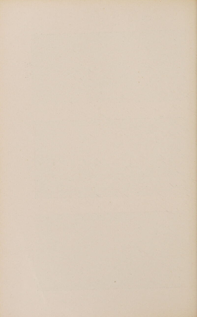 NET L'NCLEe LEA AIR? RE N