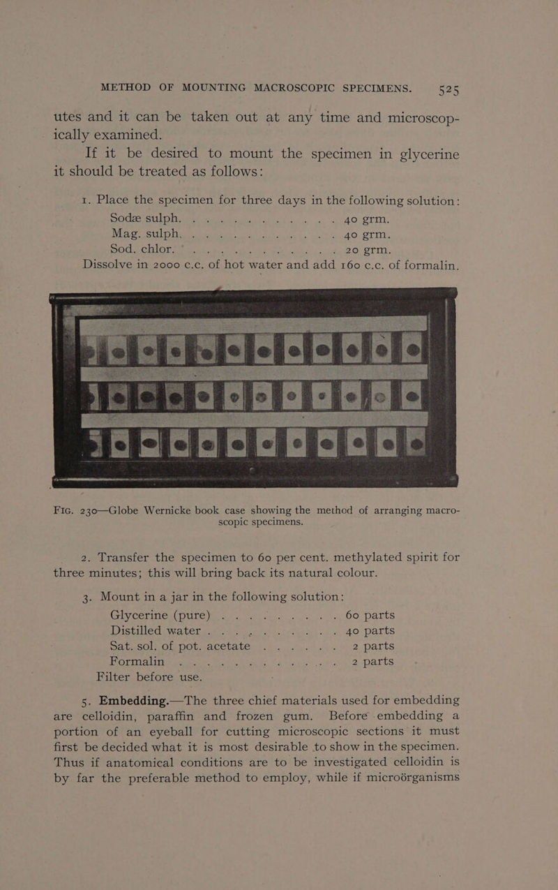 utes and it can be taken out at any time and microscop- ically examined. If it be desired to mount the specimen in glycerine it should be treated as follows: 1. Place the specimen for three days in the following solution: DOC Ul Miner meee cet | AO STIN, ioe. oth Ot ae eae te Sa a we STM. DOCe Ch Ot sam Ce., iene tele agaae Dissolve in 2000 c.c. of hot water and add 160 c.c. of formalin. Fic. 230—Globe Wernicke book case showing the method of arranging macro- scopic specimens. 2. Transfer the specimen to 60 per cent. methylated spirit for three minutes; this will bring back its natural colour. 3. Mount in a jar in the following solution: iy cer em U Lome ers tt OO Dalits DistiNcd water ew oso 0) hi ees} .o «49: parts Weiie sO Ol DOL MA CCbabere bo neh oui. parts PGi Uemura Meet kine fof 9 dong ted ace’ a diy 2 Dares Filter before use. 5. Embedding.—The three chief materials used for embedding are celloidin, paraffin and frozen gum. Before embedding a portion of an eyeball for cutting microscopic sections it must first be decided what it is most desirable to show in the specimen. Thus if anatomical conditions are to be investigated celloidin is by far the preferable method to employ, while if microérganisms