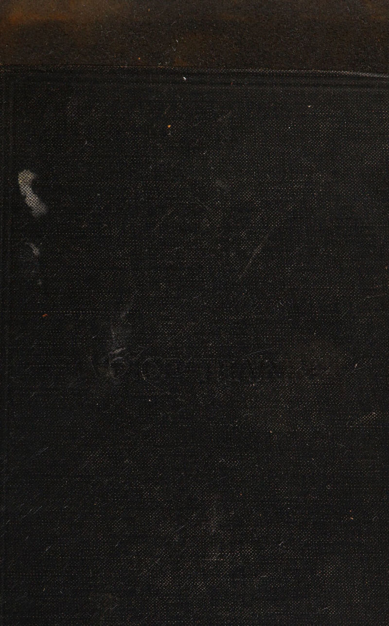 oe et + Ke fe aha we