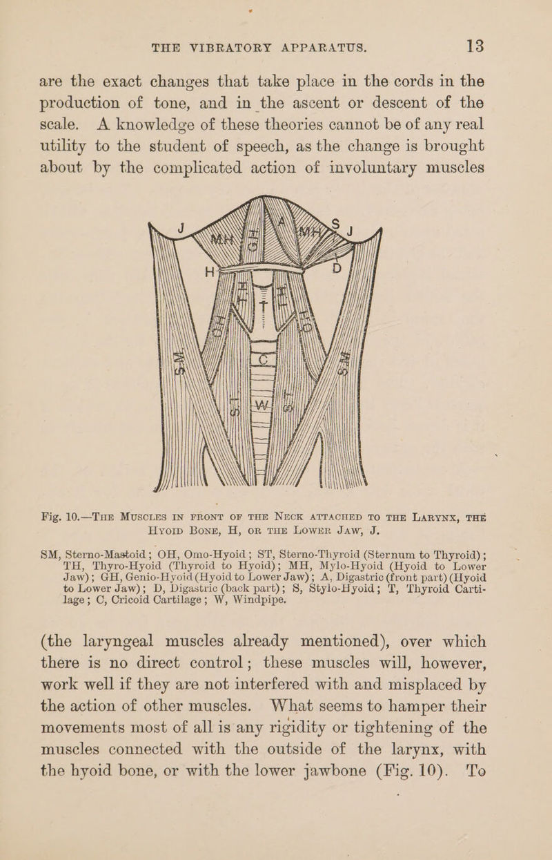 are the exact changes that take place in the cords in the production of tone, and in the ascent or descent of the scale. A knowledge of these theories cannot be of any real utility to the student of speech, as the change is brought about by the complicated action of involuntary muscles > -— = SSS \ Tel \ Fig. 10.—THe MUSCLES IN FRONT OF THE NECK ATTACHED TO THE LARYNX, THE Hyori Bones, H, or THE Lower Jaw, J. ——— 8M, Sterno-Mastoid; OH, Omo-Hyoid; ST, Sterno-Thyroid (Sternum to Thyroid) ; TH, Thyro-Hyoid (Thyroid to Hyoid); MH, Mylo-Hyoid (Hyoid to Lower Jaw); GH, Genio-Hyoid (Hyoid to Lower Jaw); A, Digastric (front part) (Hyoid to Lower Jaw); D, Digastric (back part); 8, Stylo-Hyoid; T, Thyroid Carti- lage ; C, Cricoid Cartilage; W, Windpipe. (the laryngeal muscles already mentioned), over which there is no direct control; these muscles will, however, work well if they are not interfered with and misplaced by the action of other muscles. What seems to hamper their movements most of all is any rigidity or tightening of the muscles connected with the outside of the larynx, with the hyoid bone, or with the lower jawbone (Fig. 10). To
