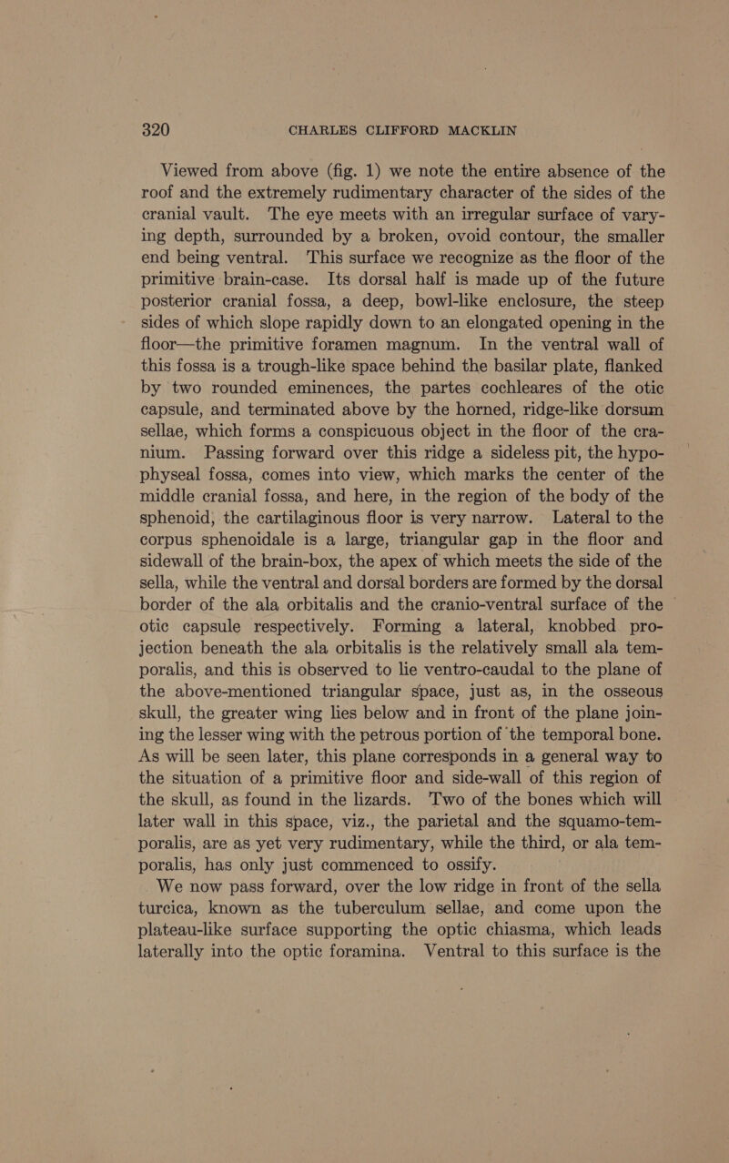 Viewed from above (fig. 1) we note the entire absence of the roof and the extremely rudimentary character of the sides of the cranial vault. The eye meets with an irregular surface of vary- ing depth, surrounded by a broken, ovoid contour, the smaller end being ventral. This surface we recognize as the floor of the primitive brain-case. Its dorsal half is made up of the future posterior cranial fossa, a deep, bowl-like enclosure, the steep sides of which slope rapidly down to an elongated opening in the floor—the primitive foramen magnum. In the ventral wall of this fossa is a trough-like space behind the basilar plate, flanked by two rounded eminences, the partes cochleares of the otic capsule, and terminated above by the horned, ridge-like dorsum sellae, which forms a conspicuous object in the floor of the cra- nium. Passing forward over this ridge a sideless pit, the hypo- physeal fossa, comes into view, which marks the center of the middle cranial fossa, and here, in the region of the body of the sphenoid, the cartilaginous floor is very narrow. Lateral to the corpus sphenoidale is a large, triangular gap in the floor and sidewall of the brain-box, the apex of which meets the side of the sella, while the ventral and dorsal borders are formed by the dorsal border of the ala orbitalis and the cranio-ventral surface of the otic capsule respectively. Forming a lateral, knobbed_ pro- jection beneath the ala orbitalis is the relatively small ala tem- poralis, and this is observed to lie ventro-caudal to the plane of the above-mentioned triangular space, just as, in the osseous skull, the greater wing lies below and in front of the plane join- ing the lesser wing with the petrous portion of the temporal bone. As will be seen later, this plane corresponds in a general way to the situation of a primitive floor and side-wall of this region of the skull, as found in the lizards. Two of the bones which will later wall in this space, viz., the parietal and the squamo-tem- poralis, are as yet very rudimentary, while the third, or ala tem- poralis, has only just commenced to ossify. We now pass forward, over the low ridge in front of the sella turcica, known as the tuberculum sellae, and come upon the plateau-like surface supporting the optic chiasma, which leads laterally into the optic foramina. Ventral to this surface is the