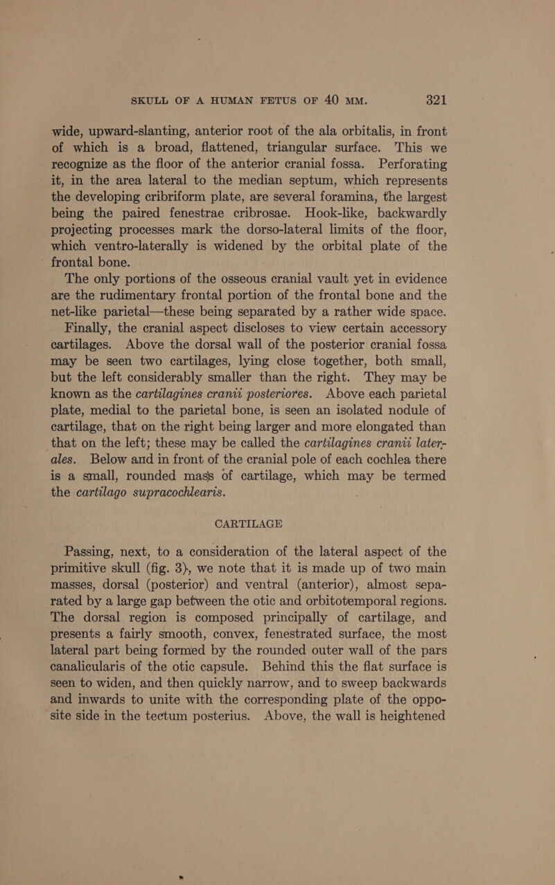 wide, upward-slanting, anterior root of the ala orbitalis, in front of which is a broad, flattened, triangular surface. This we recognize as the floor of the anterior cranial fossa. Perforating it, in the area lateral to the median septum, which represents the developing cribriform plate, are several foramina, the largest being the paired fenestrae cribrosae. Hook-like, backwardly projecting processes mark the dorso-lateral limits of the floor, which ventro-laterally is widened by the orbital plate of the ~ frontal bone. The only portions of the osseous cranial vault yet in evidence are the rudimentary frontal portion of the frontal bone and the net-like parietal—these being separated by a rather wide space. Finally, the cranial aspect discloses to view certain accessory cartilages. Above the dorsal wall of the posterior cranial fossa may be seen two cartilages, lying close together, both small, but the left considerably smaller than the right. They may be known as the cartilagines craniw posteriores. Above each parietal plate, medial to the parietal bone, is seen an isolated nodule of cartilage, that on the right being larger and more elongated than . that on the left; these may be called the cartilagines cranii later- ales. Below and in front of the cranial pole of each cochlea there is a small, rounded mass of cartilage, which may be termed the cartilago supracochlearis. CARTILAGE Passing, next, to a consideration of the lateral aspect of the primitive skull (fig. 3}, we note that it is made up of two main masses, dorsal (posterior) and ventral (anterior), almost sepa- rated by a large gap between the otic and orbitotemporal regions. The dorsal region is composed principally of cartilage, and presents a fairly smooth, convex, fenestrated surface, the most lateral part being formed by the rounded outer wall of the pars canalicularis of the otic capsule. Behind this the flat surface is seen to widen, and then quickly narrow, and to sweep backwards and inwards to unite with the corresponding plate of the oppo- site side in the tectum posterius. Above, the wall is heightened