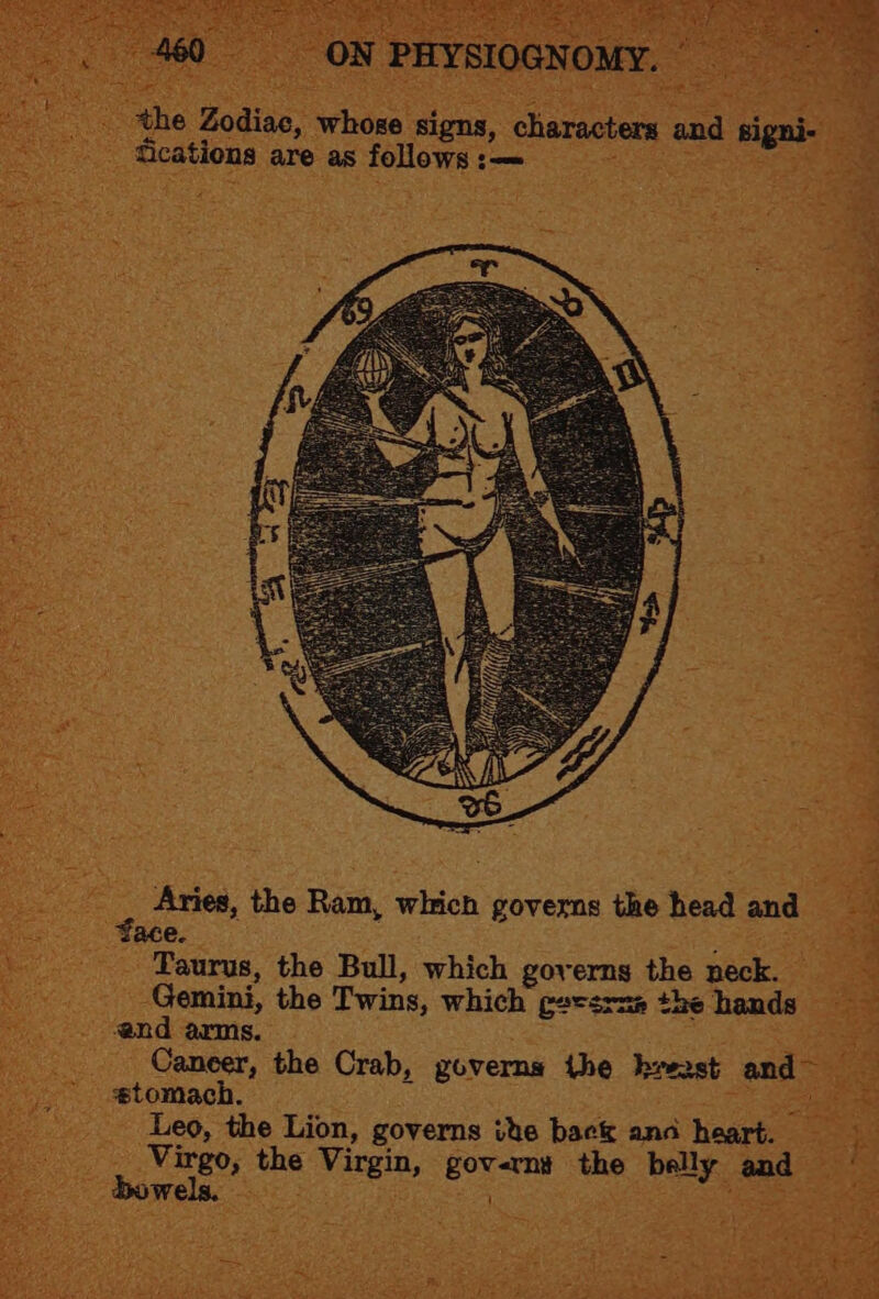 pl - Face. . oe ee _ ‘Taurus, the Bull, which governs the neck. _ Gemini, the Twins, which ceesrnm the hands end arms. SEs Sin he ii oe __ Caneer, the Crab, governs the breast and ina _ Leo, the Lion, governs ite back anc heart. _ Virgo, the Virgin, gov-rni the belly and MOWER, SER Ie. a