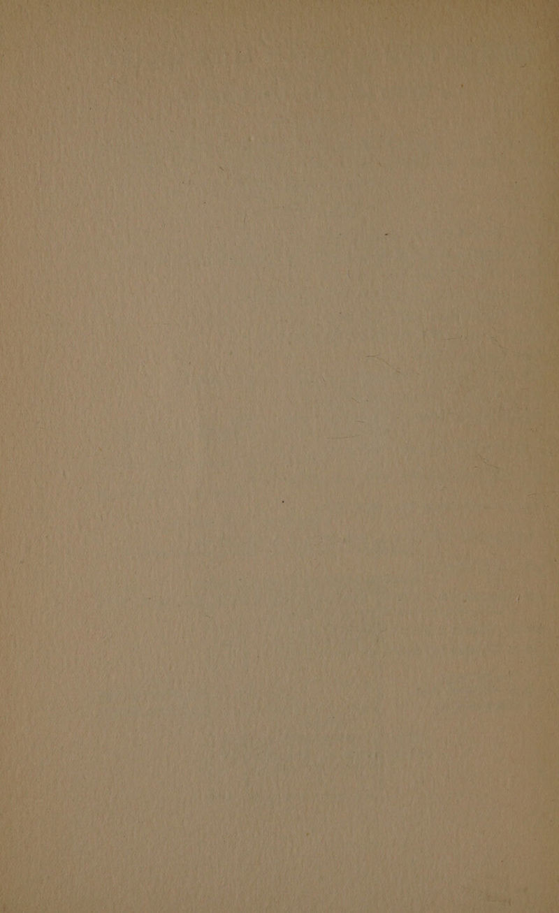 2 ~! sl yay bY 4 ate Nf Ny V } i Say ie ey ts } ial 3)