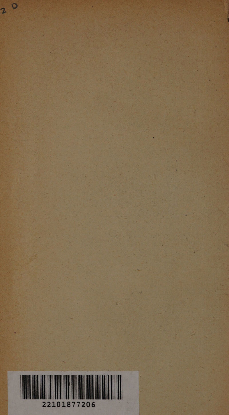 TM Tn 1 | 22101877206