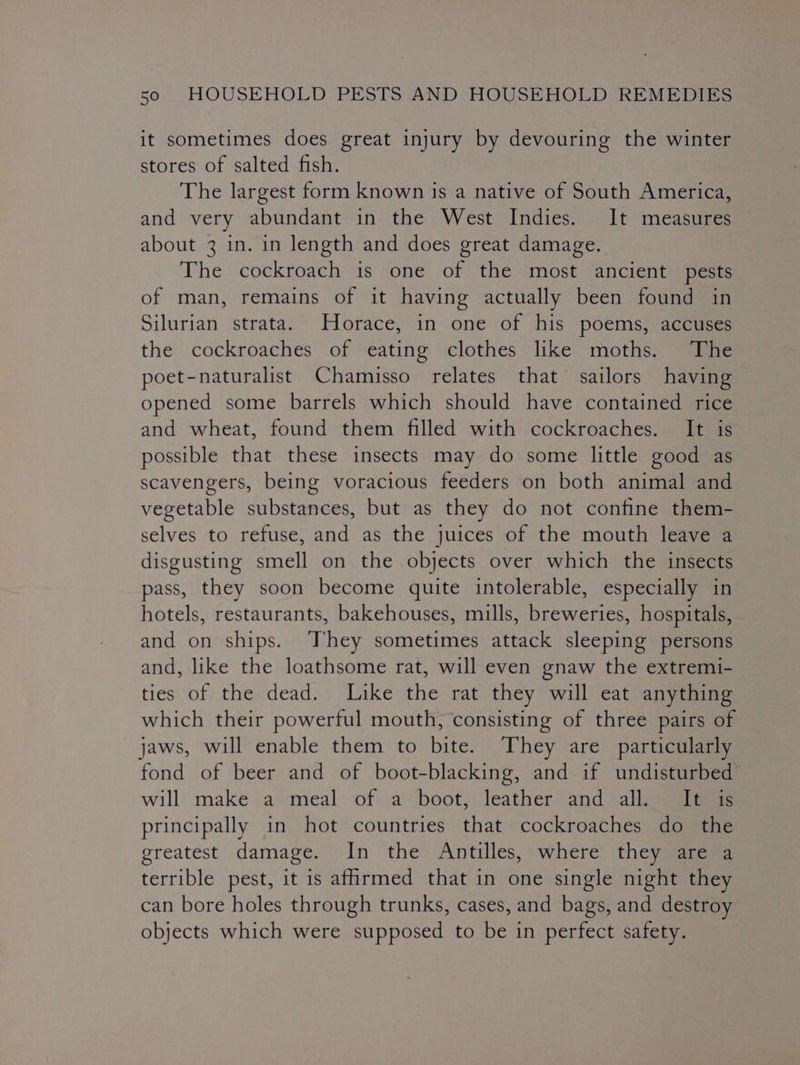 it sometimes does great injury by devouring the winter stores of salted fish. The largest form known is a native of South America, and very abundant in the West Indies. It measures about 3 in. in length and does great damage. The cockroach is one of the most ancient pests of man, remains of it having actually been found in Silurian strata. Horace, in one of his poems, accuses the cockroaches of eating clothes like moths. The poet-naturalist Chamisso relates that sailors having opened some barrels which should have contained rice and wheat, found them filled with cockroaches. It is possible that these insects may do some little good as scavengers, being voracious feeders on both animal and vegetable substances, but as they do not confine them- selves to refuse, and as the juices of the mouth leave a disgusting smell on the objects over which the insects pass, they soon become quite intolerable, especially in hotels, restaurants, bakehouses, mills, breweries, hospitals, and on ships. ‘They sometimes attack sleeping persons and, like the loathsome rat, will even gnaw the extremi- ties of the dead. Like the rat they will eat anything which their powerful mouth, consisting of three pairs of jaws, will enable them to bite. They are particularly fond of beer and of boot-blacking, and if undisturbed will’ make a*‘meal ‘of a’ boot; leather. and alleeiear principally in hot countries that cockroaches do the greatest damage. In the Antilles, where they are a terrible pest, it is afhrmed that in one single night they can bore holes through trunks, cases, and bags, and destroy objects which were supposed to be in perfect safety.