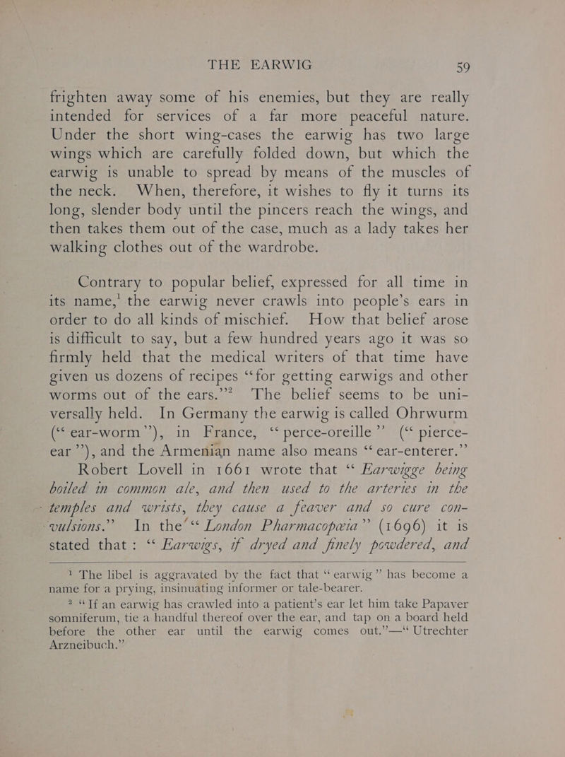 frighten away some of his enemies, but they are really intended for services of a far more peaceful nature. Under the short wing-cases the earwig has two large wings which are carefully folded down, but which the earwig is unable to spread by means of the muscles of the neck. When, therefore, it wishes to fly it turns its long, slender body until the pincers reach the wings, and then takes them out of the case, much as a lady takes her walking clothes out of the wardrobe. Contrary to popular belief, expressed for all time in its name, the earwig never crawls into people’s ears in order to do all kinds of mischief. How that belief arose is difficult to say, but a few hundred years ago it was so firmly held that the medical writers of that time have given us dozens of recipes “‘for getting earwigs and other momneout of the eats... Whe belief seems to: be uni- versally held. In Germany the earwig is called Ohrwurm (““ear-worm’’), in France, ‘‘ perce-oreille’’ (‘‘ pierce- ear’), and the Armenian name also means “ ear-enterer.”’ Robert Lovell in 1661 wrote that ‘‘ Earwigge being boiled in common ale, and then used to the arteries in the temples and wrists, they cause a feaver and so cure con- ~vulsions.” In the’ ‘* London Pharmacopeia”’ (1696) it is stated that: “‘ Farwigs, if dryed and finely powdered, and cc 1 The libel is aggravated by the fact that ‘ earwig” has become a name for a prying, insinuating informer or tale-bearer. 2 “Tf an earwig has crawled into a patient’s ear let him take Papaver somniferum, tie a handful thereof over the ear, and tap on a board held before the other ear until the earwig comes out.’—' Utrechter Arzneibuch.”