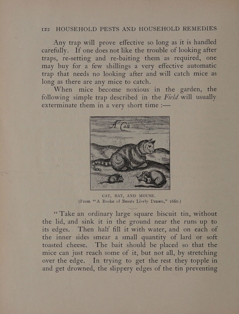 Any trap will prove effective so long as it is handled carefully. If one does not like the trouble of looking after traps, re-setting and re-baiting them as required, one may buy for a few shillings a very effective automatic trap that needs no looking after and will catch mice as long as there are any mice to catch. When mice become noxious in the garden, the following simple trap described in the Fre/d will usually exterminate them in a very short time :— ‘“‘’Take an ordinary large square biscuit tin, without the lid, and sink it in the ground near the runs up to its edges. Then half fill it with water, and on each of the inner sides smear a small quantity of lard or soft toasted cheese. The bait should be placed so that the mice can just reach some of it, but not all, by stretching over the edge. In trying to get the rest they topple in and get drowned, the slippery edges of the tin preventing