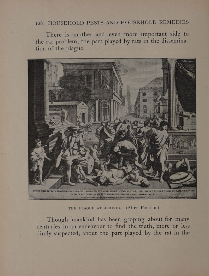 There is another and even more important side to the rat problem, the part played Dy rats in the dissemina- tion of the plague. Though mankind has been groping about for many centuries in an endeavour to find the truth, more or less dimly suspected; about the part played by the rat in the