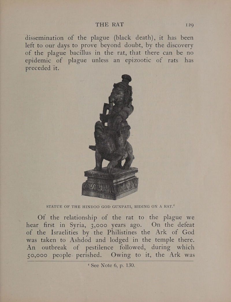 dissemination of the plague (black death), it has been left to our days to prove beyond doubt, by the discovery of the plague bacillus in the rat, that there can be no epidemic of plague unless an epizootic of rats has preceded it. STATUE OF THE HINDOO GOD GUNPATI, RIDING ON A RATS Of the relationship of the rat to the plague we hear first in Syria, 3,000 years ago. On the defeat of the Israelities by the Philistines the Ark of God was taken to Ashdod and lodged in the temple there. An outbreak of pestilence followed, during which 50,000 people. perished. Owing to it, the Ark was fSeeyN Otc Oospie Lou: