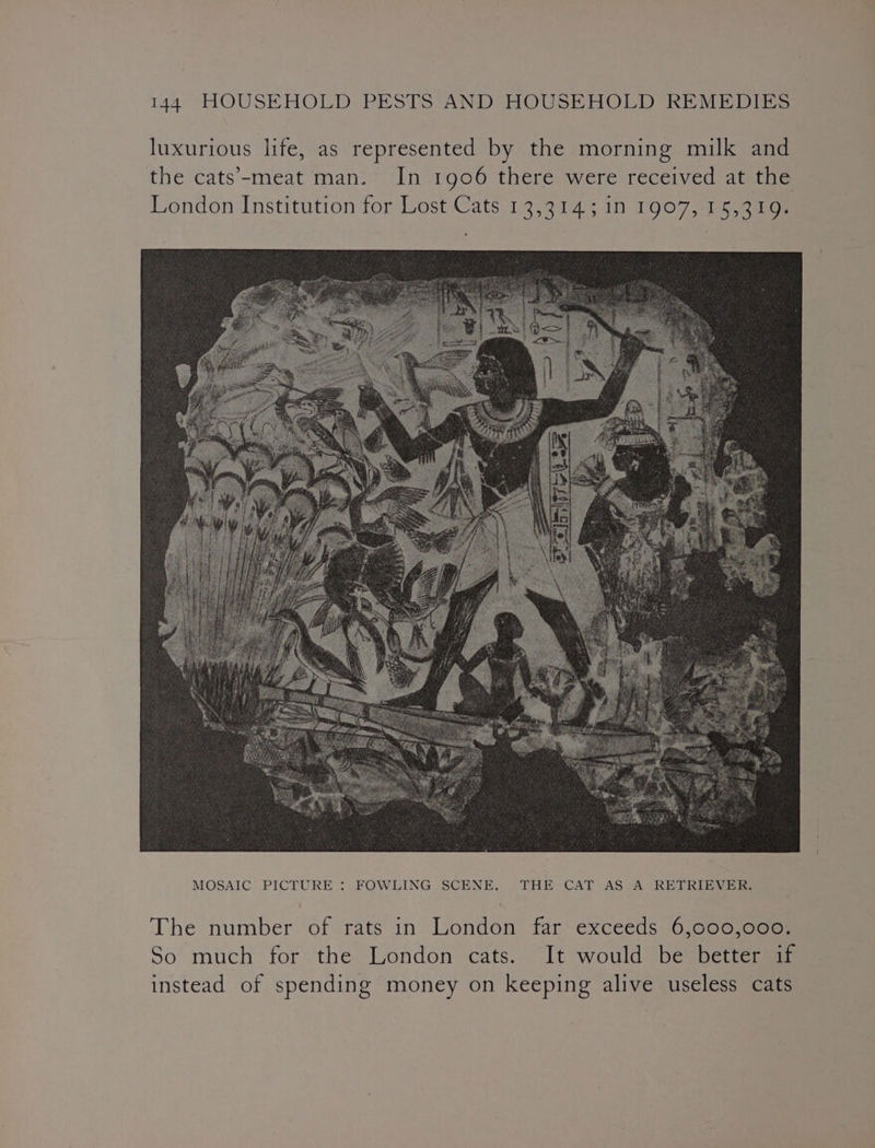 luxurious life, as represented by the morning milk and the cats’-meat man. In 1906 there were received at the London Institution for Lost Cats 13,3143; 1n 1907, 15,319. MOSAIC’ PICTURE : FOWLING SCENE. THE CAT AS A RETRIEVER, The number of rats in London far exceeds 6,000,000. So much for the London cats. It would be better if instead of spending money on keeping alive useless cats